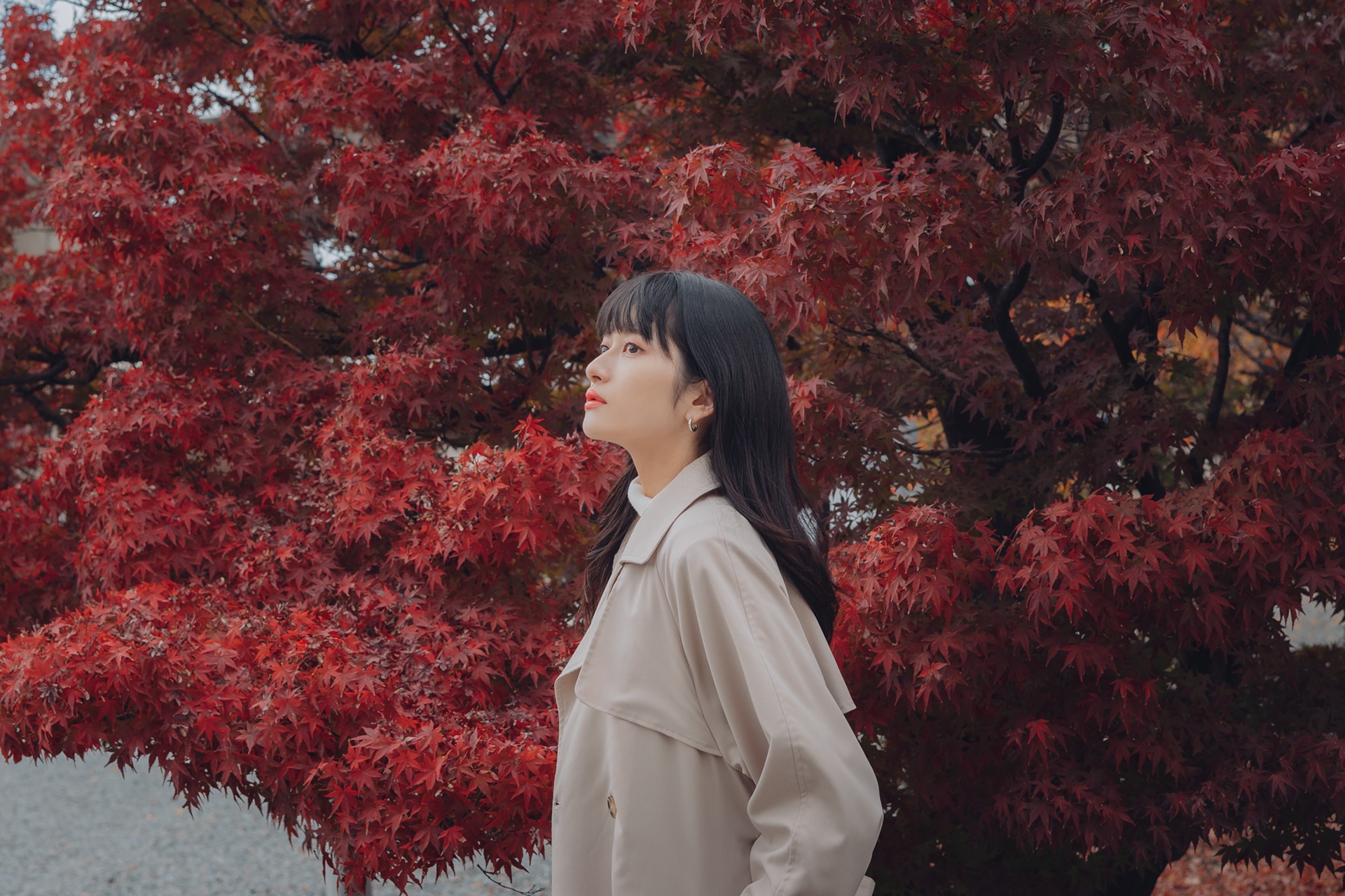 志織