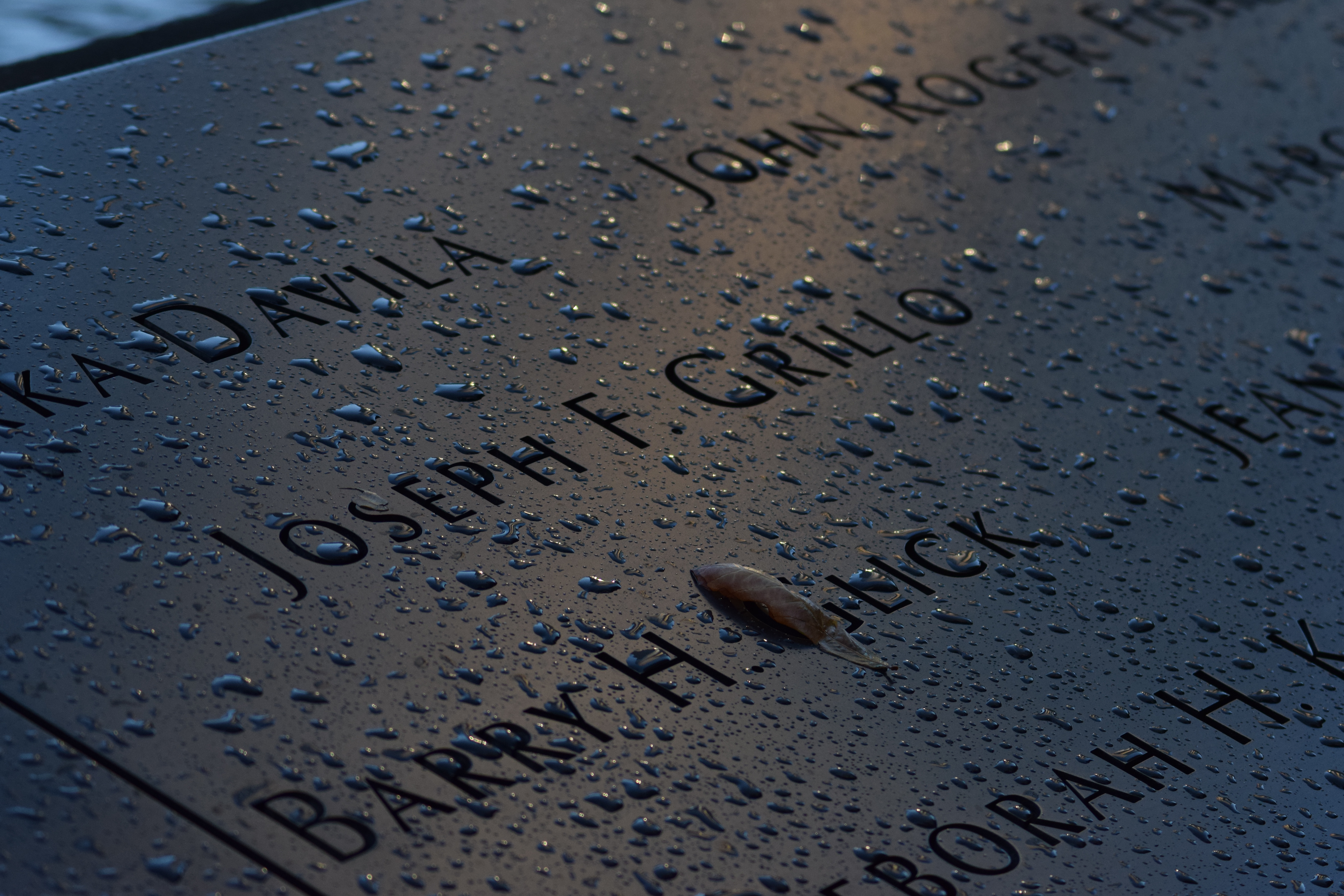 Remembrance In The Dawn