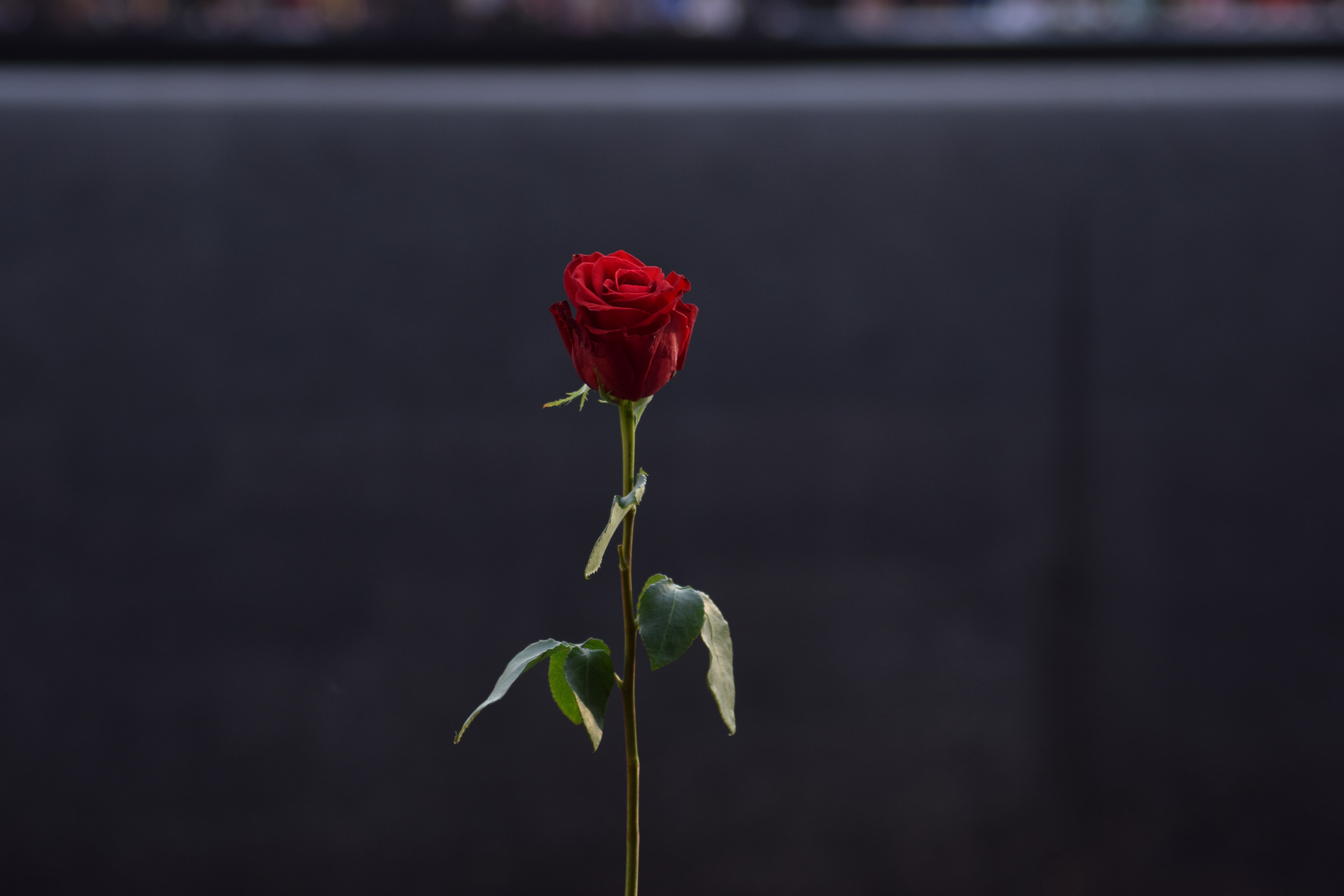 In Remembrance
