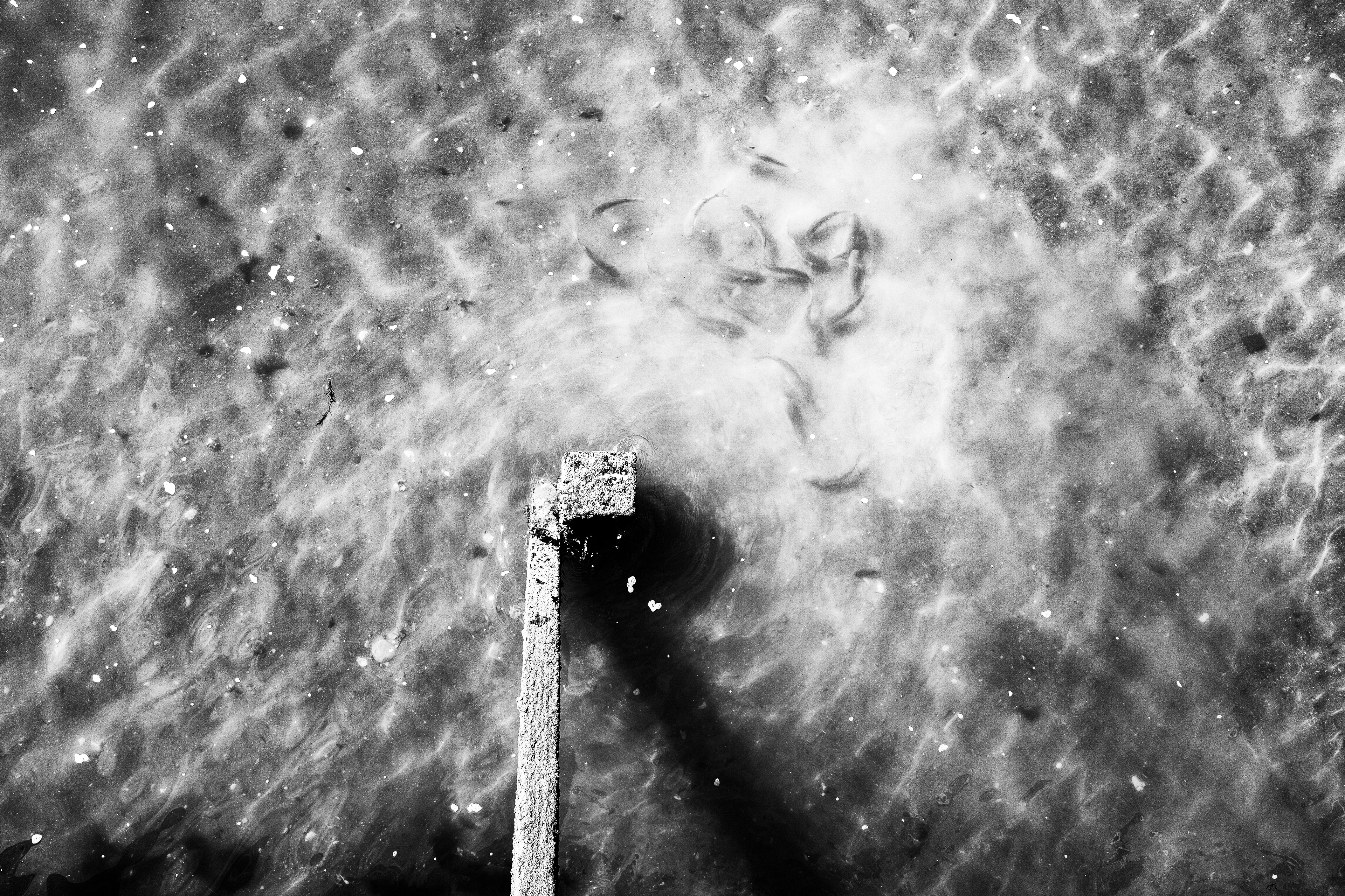 Noirmoutier - 2018
