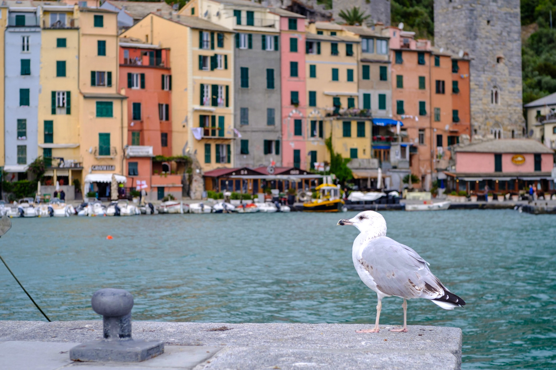Portovenere