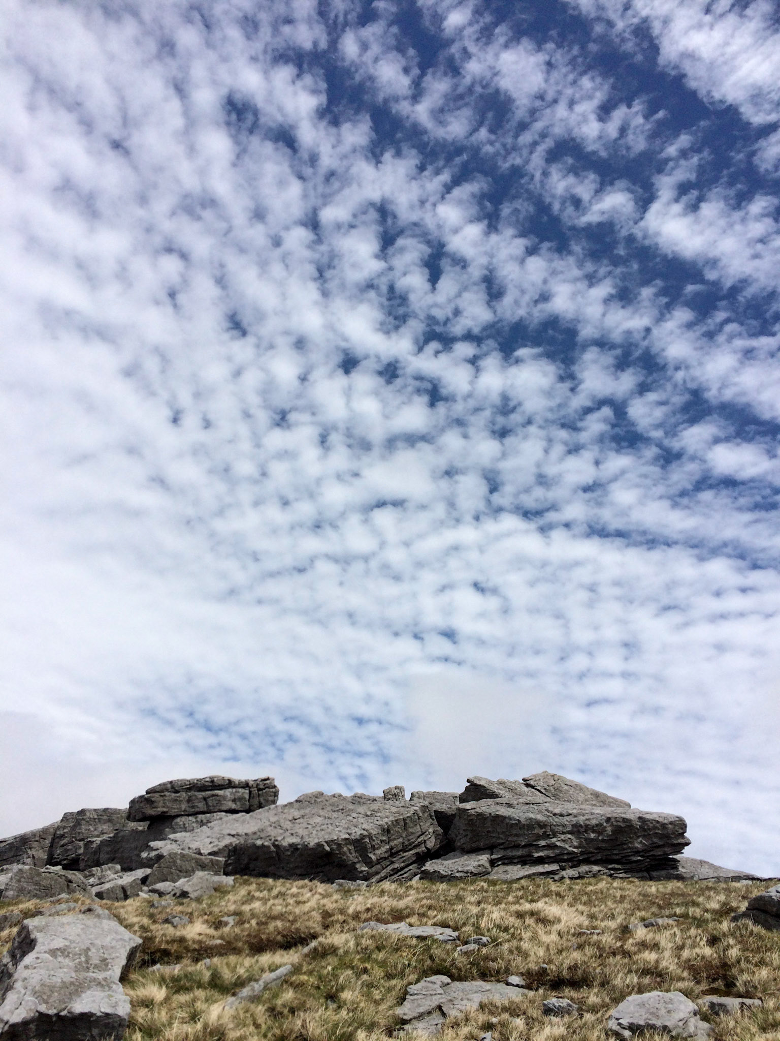 above Starbotton