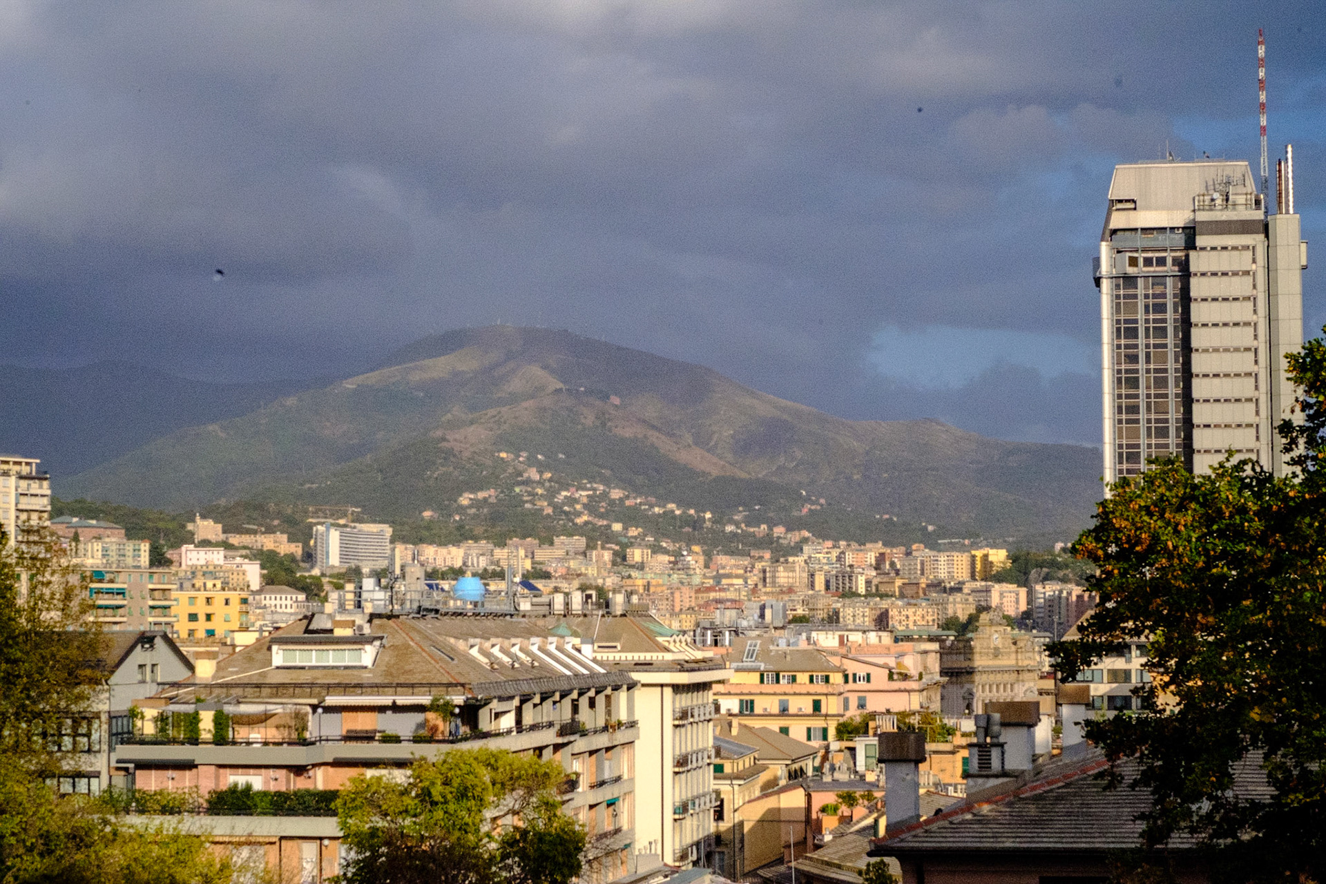 Genova