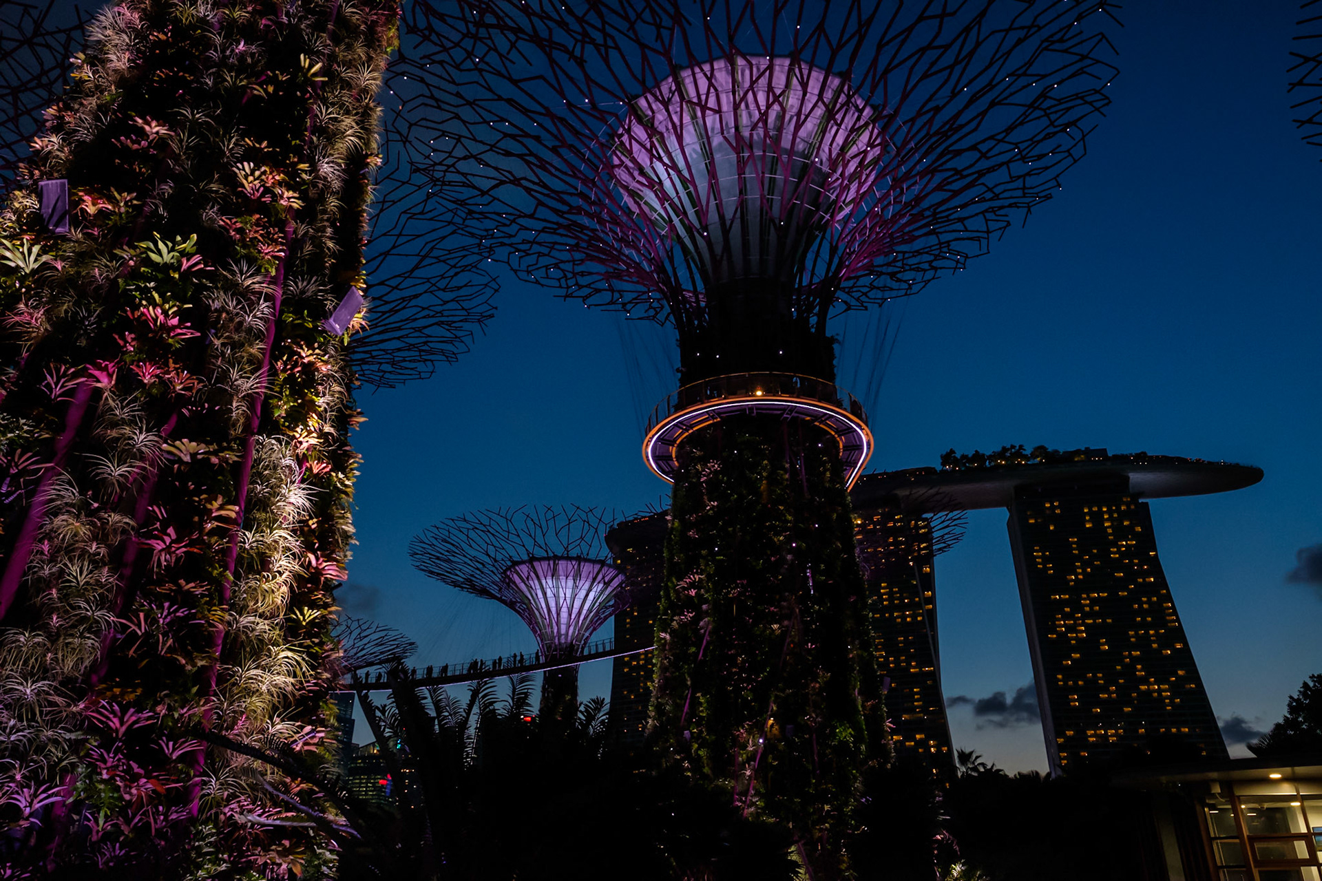 Singapore