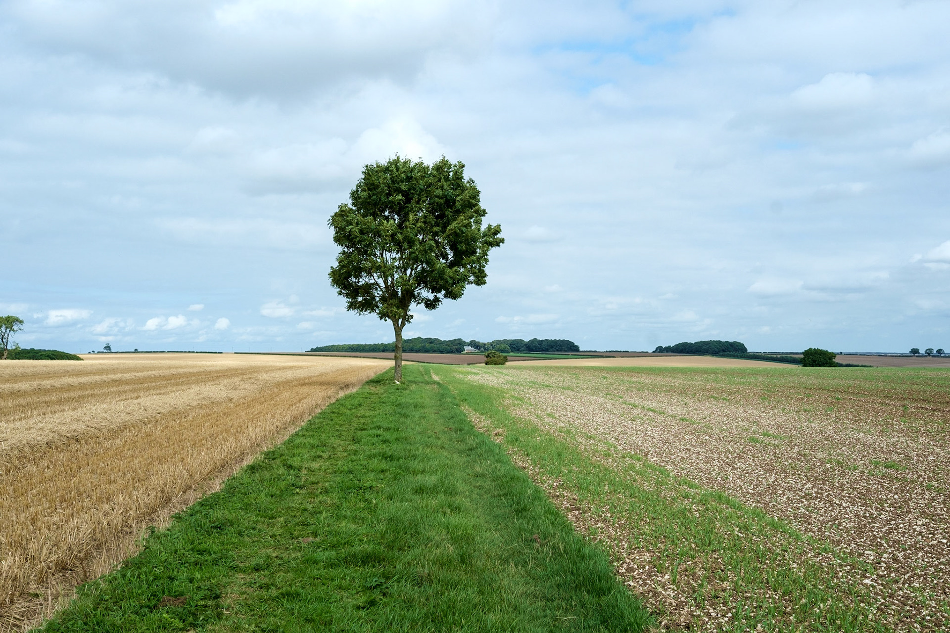The Yorkshire Wolds