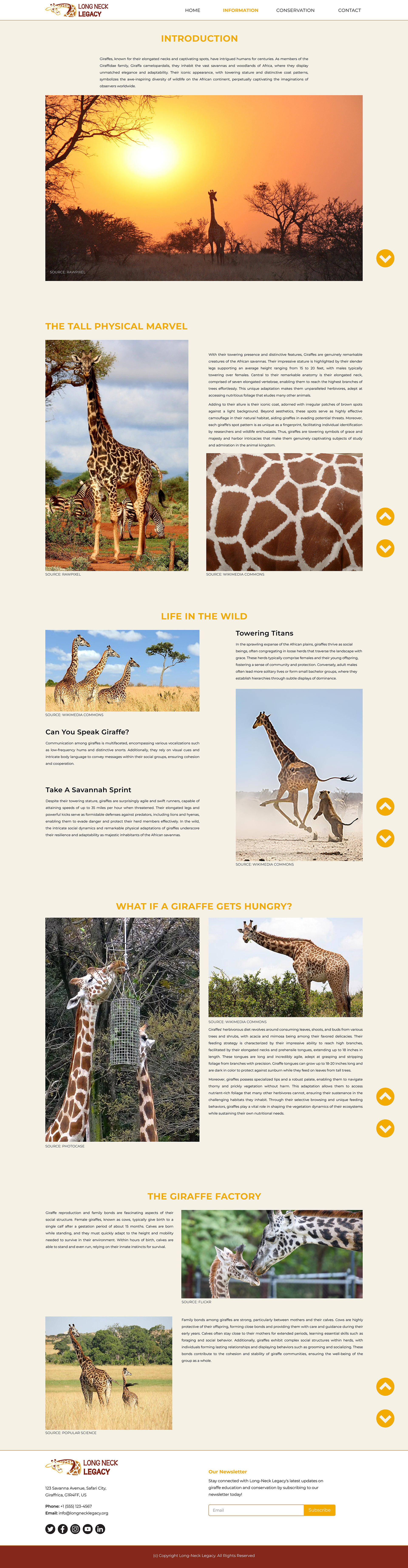 Image of the detailed wireframe of the Information page of the base Long-Neck Legacy website