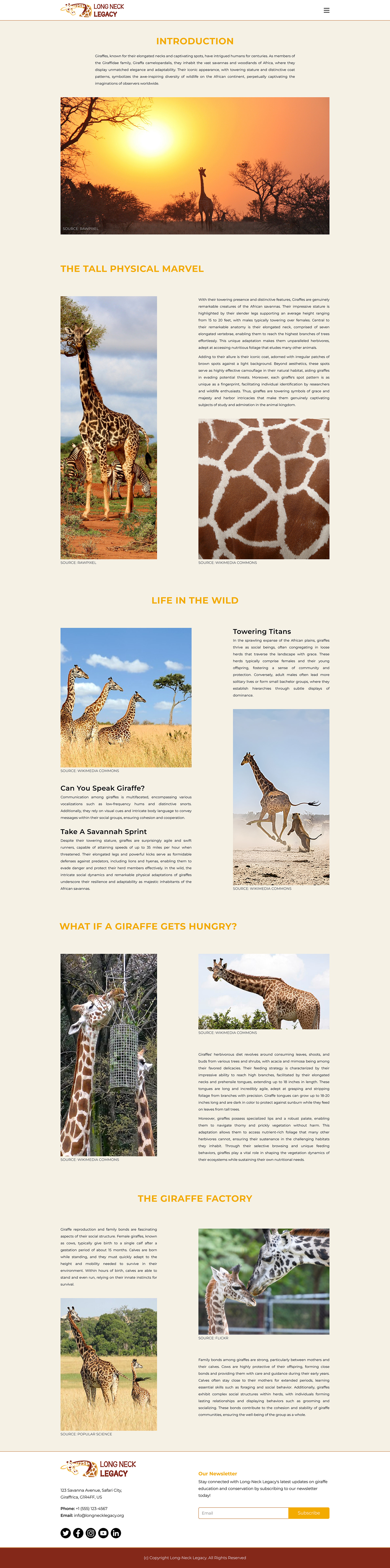 Image of the Information page of the Long-Neck Legacy website optimized for a landscape orientation iPad Pro screen, with informational sections about giraffes, including their height, wildlife adaptations, how/what they eat, and how they reproduce