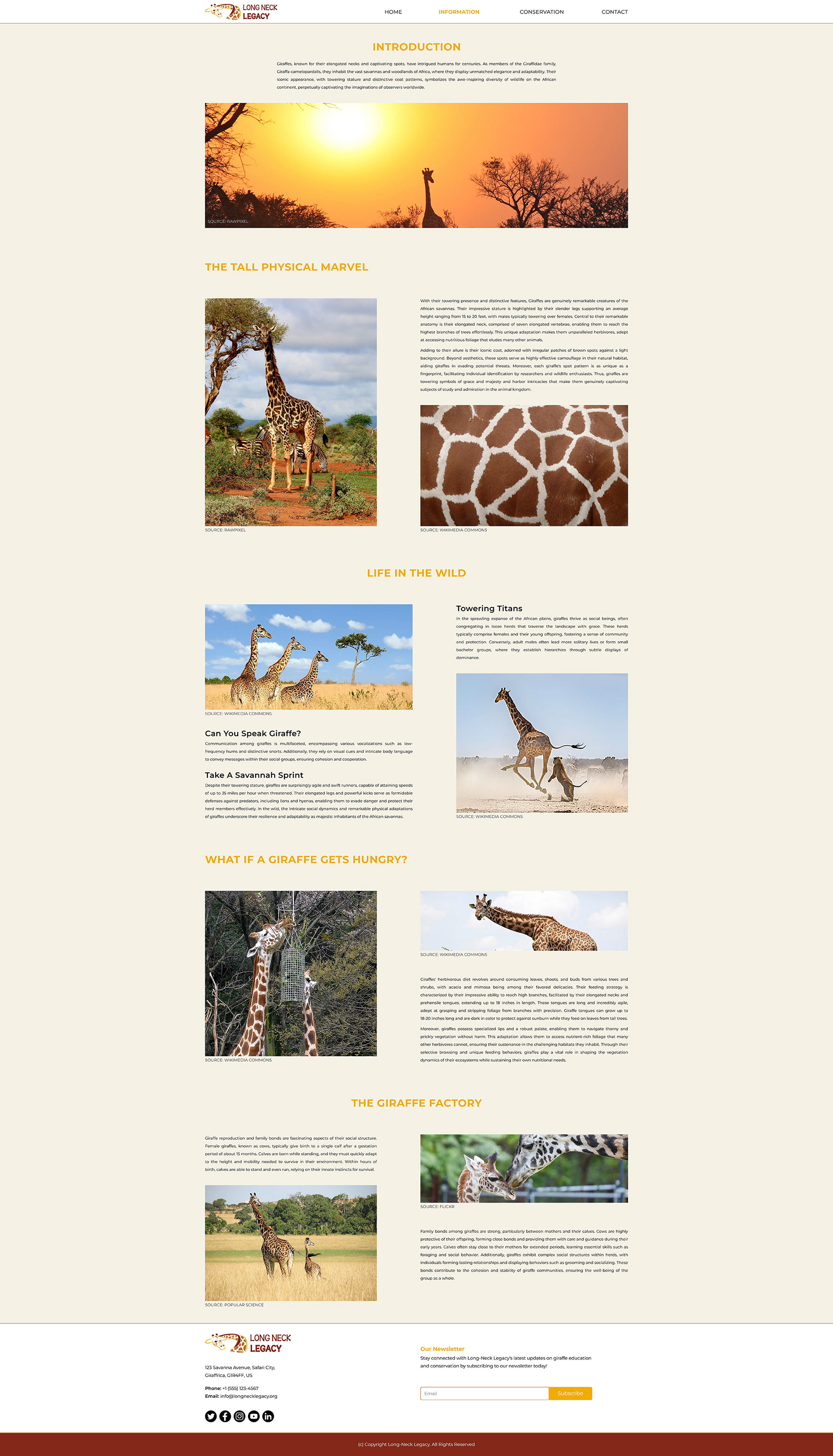 Image of the Information page of the Long-Neck Legacy website optimized for an iMac screen, with informational sections about giraffes, including their height, wildlife adaptations, how/what they eat, and how they reproduce