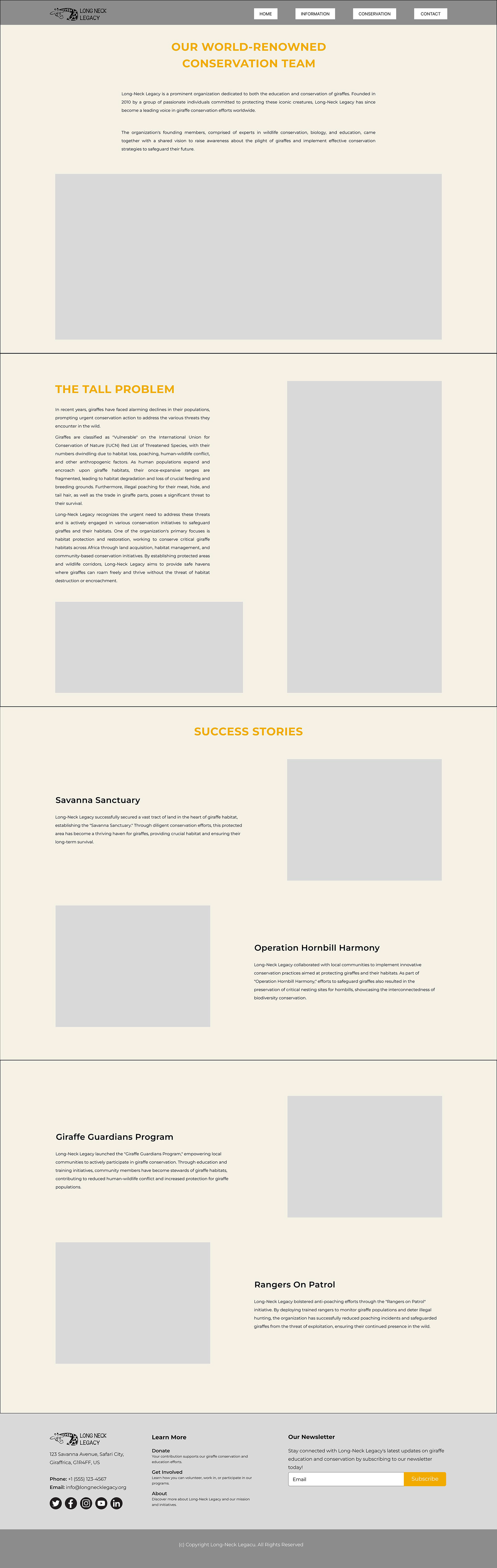 Image of the low-fidelity wireframe of the Information page of the base Long-Neck Legacy website