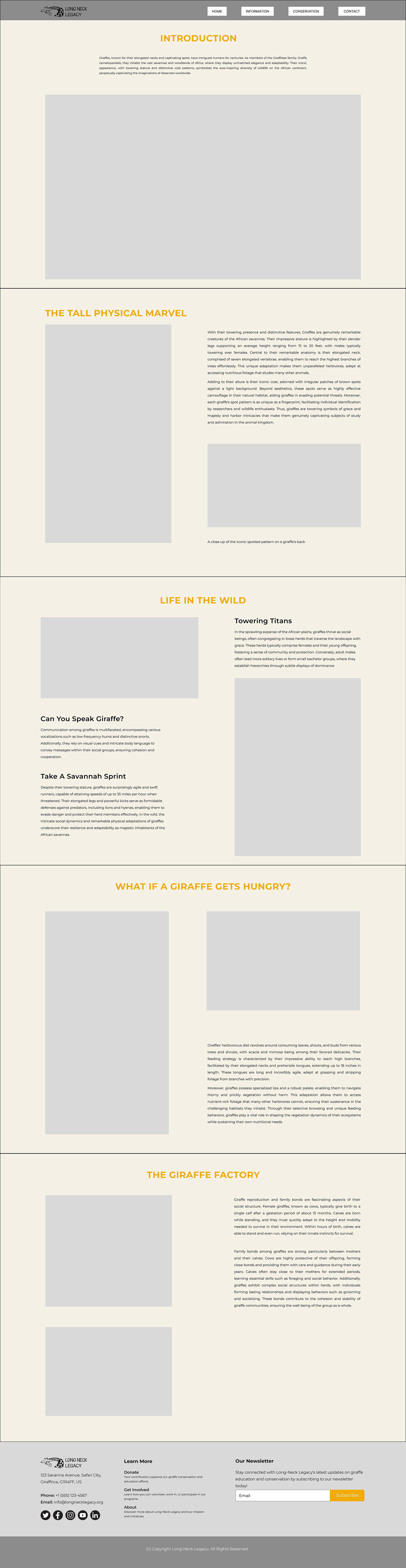 Image of the low-fidelity wireframe of the Information page of the base Long-Neck Legacy website