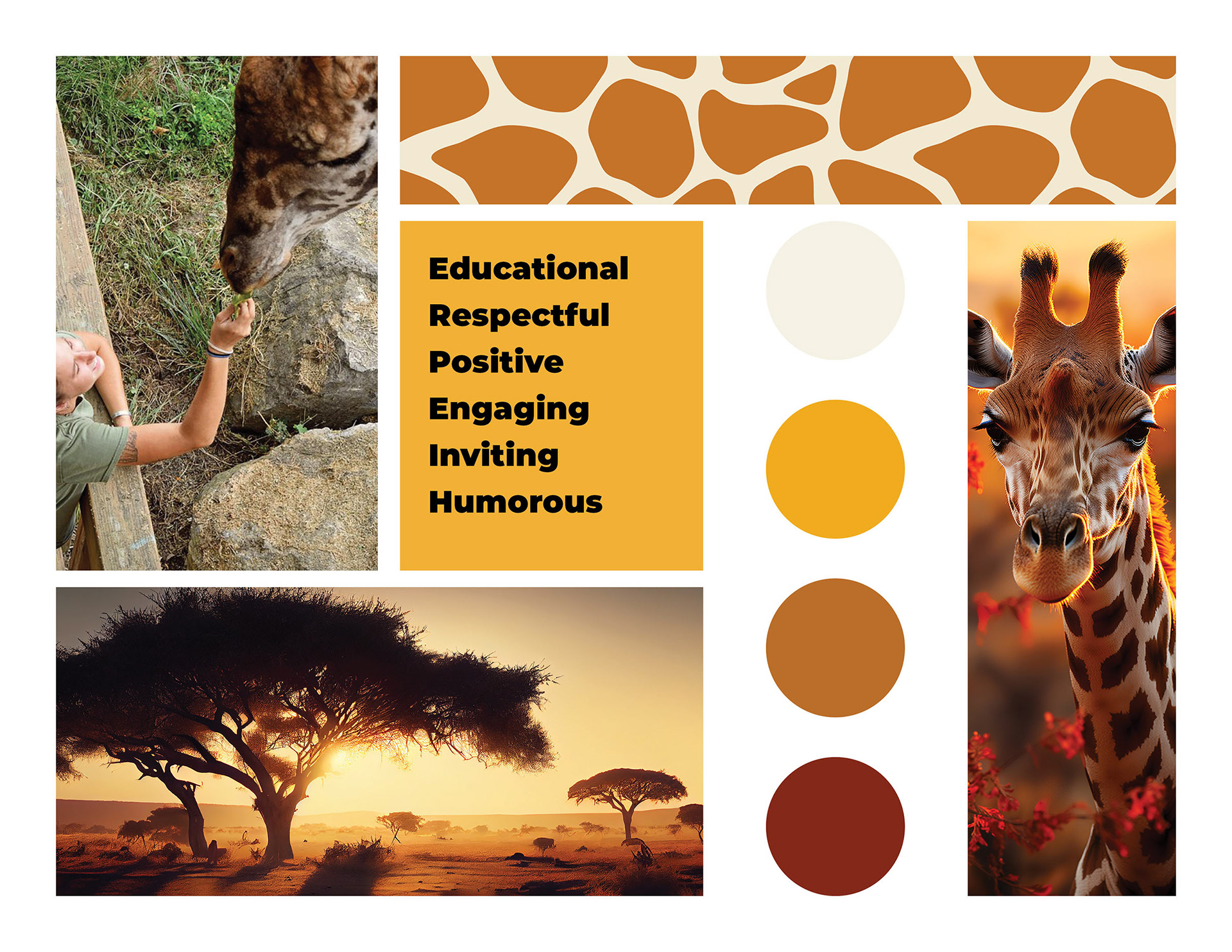 Brand identity moodboard for Long-Neck Legacy