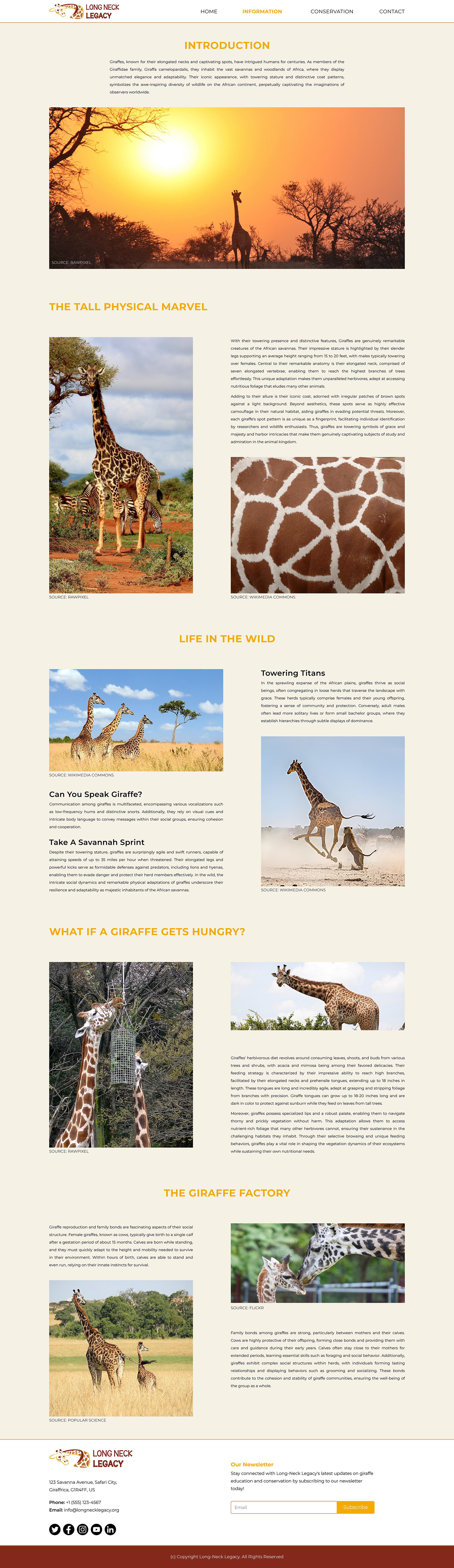 Image of the Information page of the Long-Neck Legacy website optimized for a MacBook screen, with informational sections about giraffes, including their height, wildlife adaptations, how/what they eat, and how they reproduce