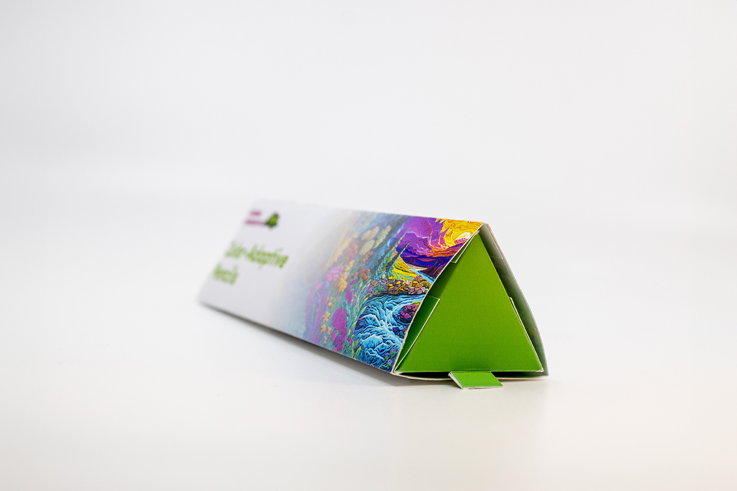 Image of a ¾ view of the Chroma Chameleon package design, with the slider inside