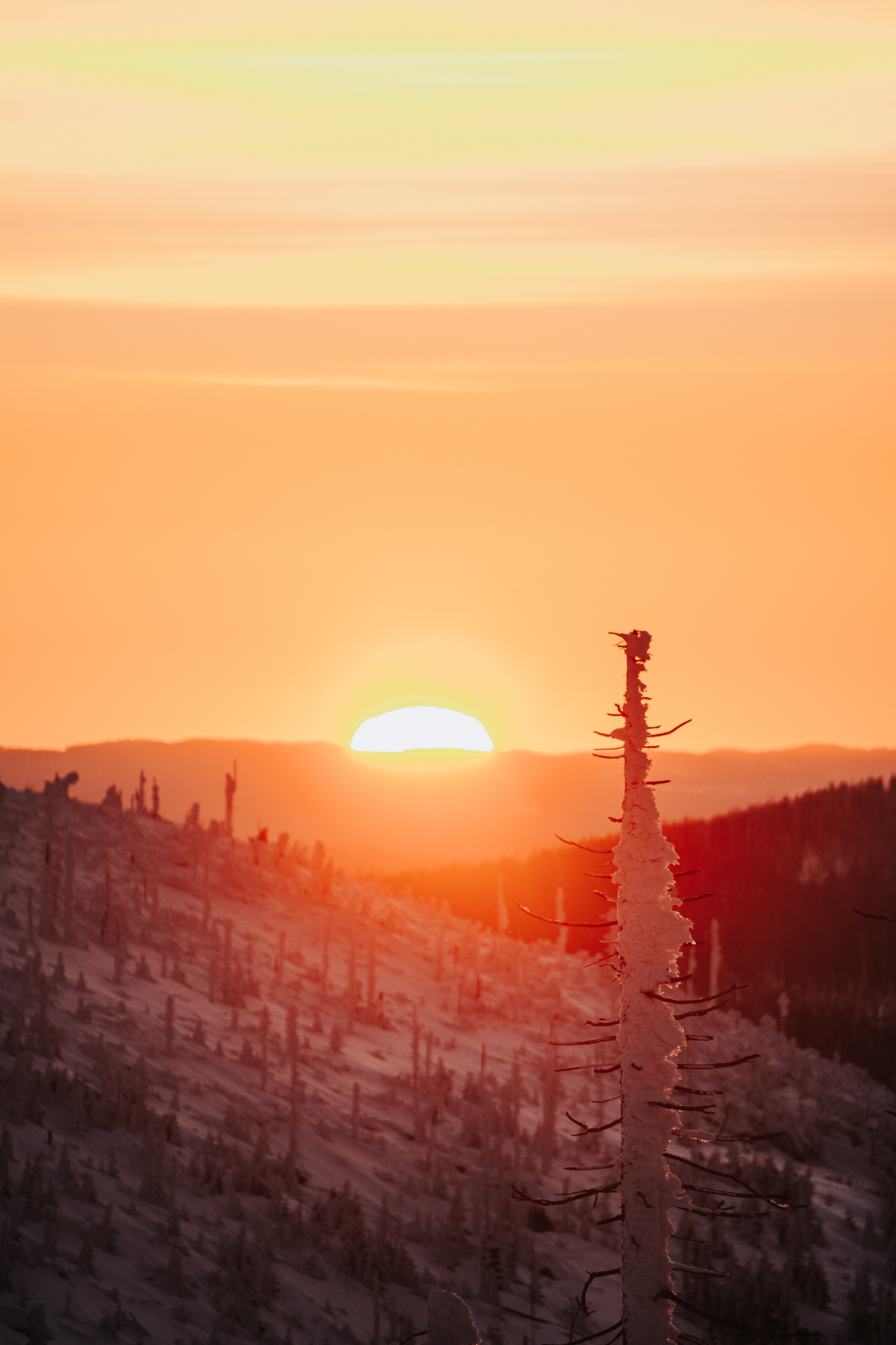 Plechý sunrise 2