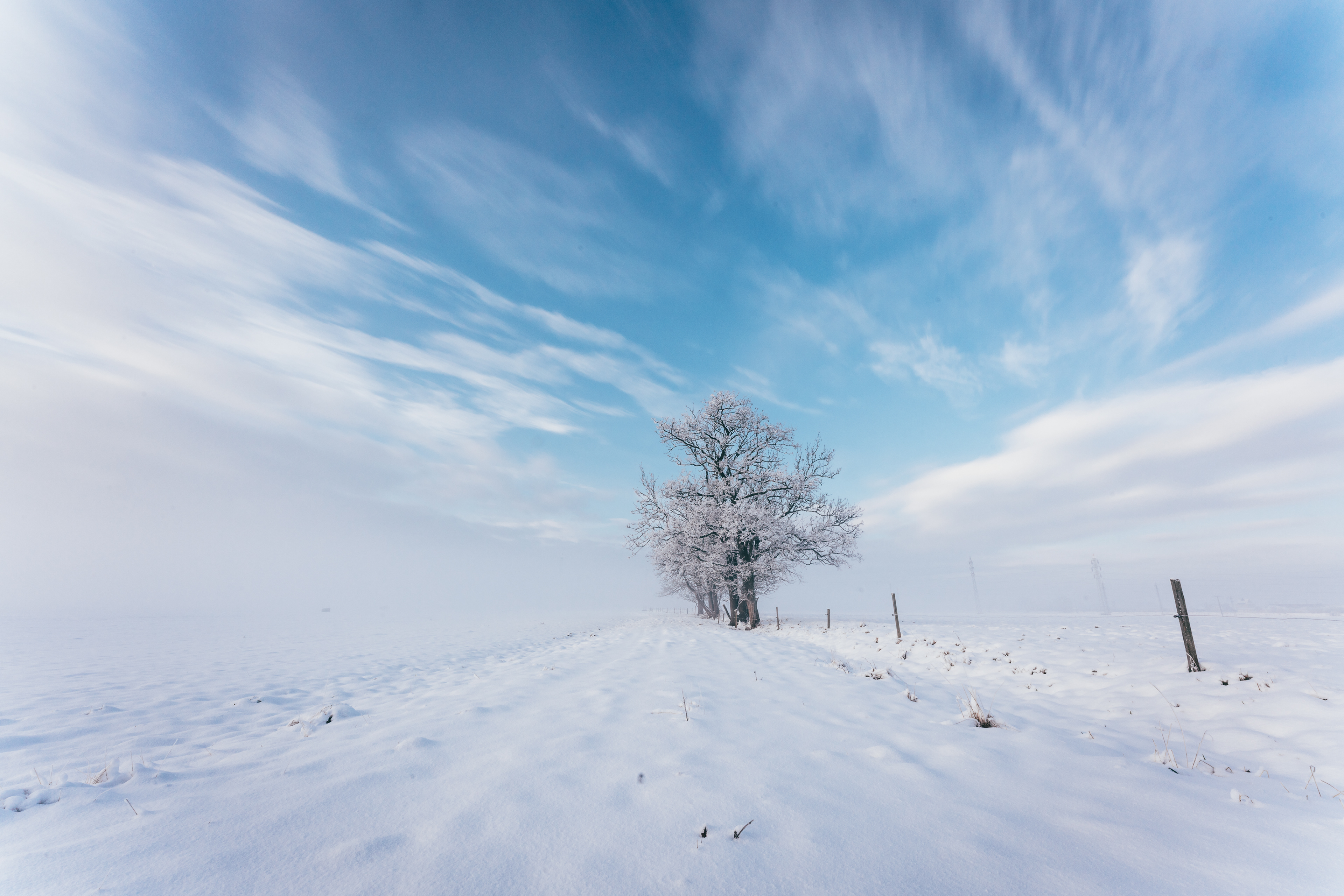 HD Winter 2