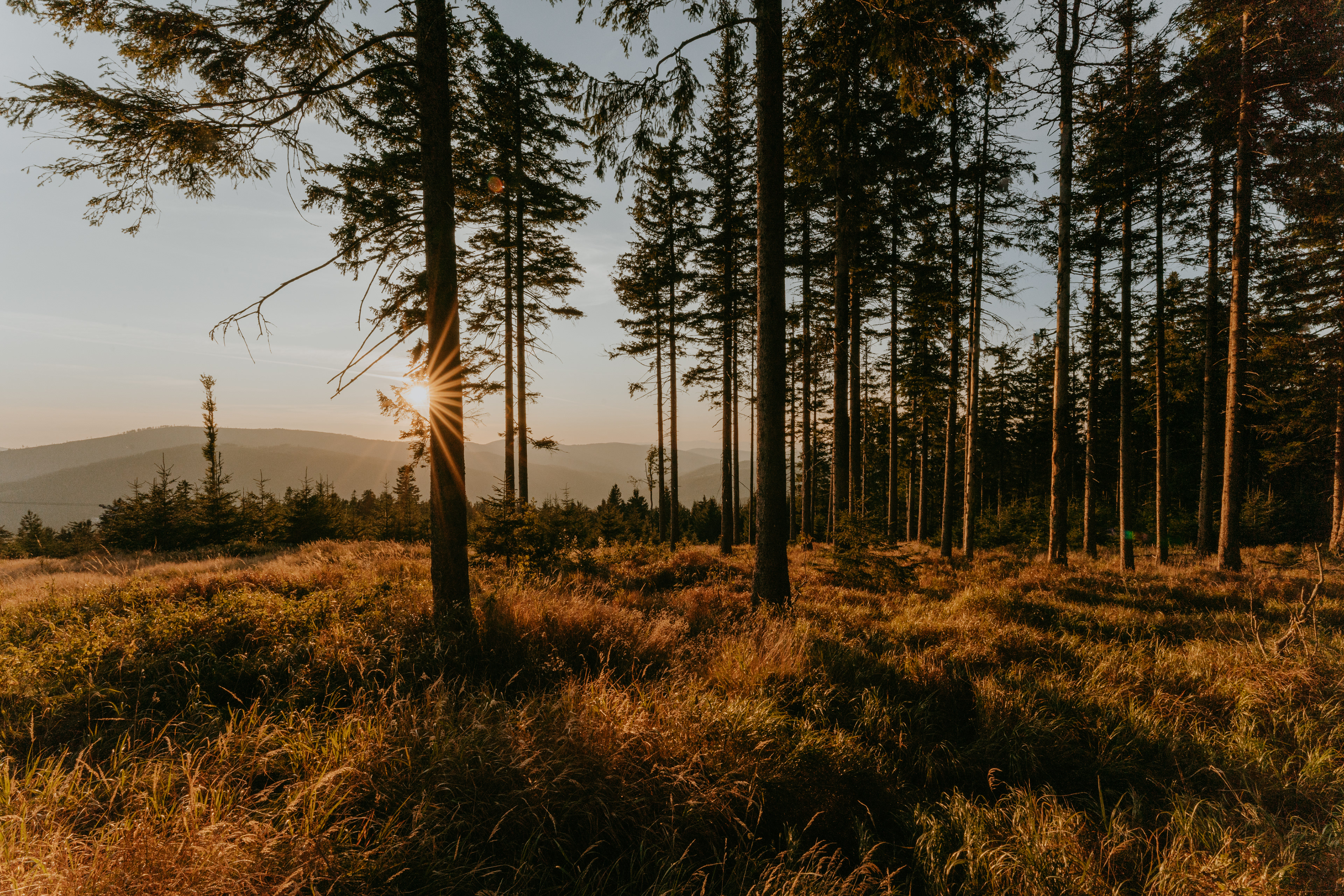 Pancíř Sunset