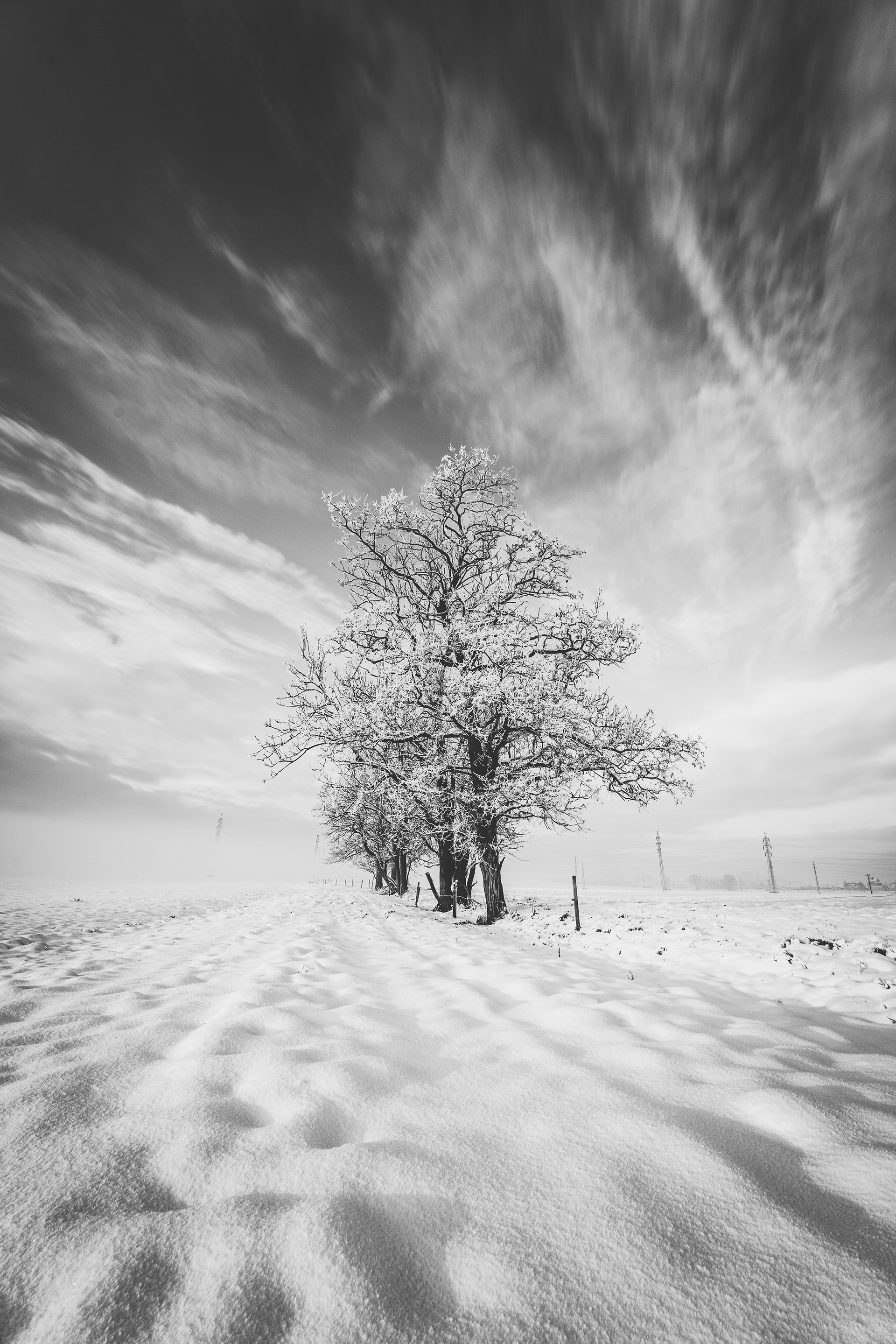HD BW