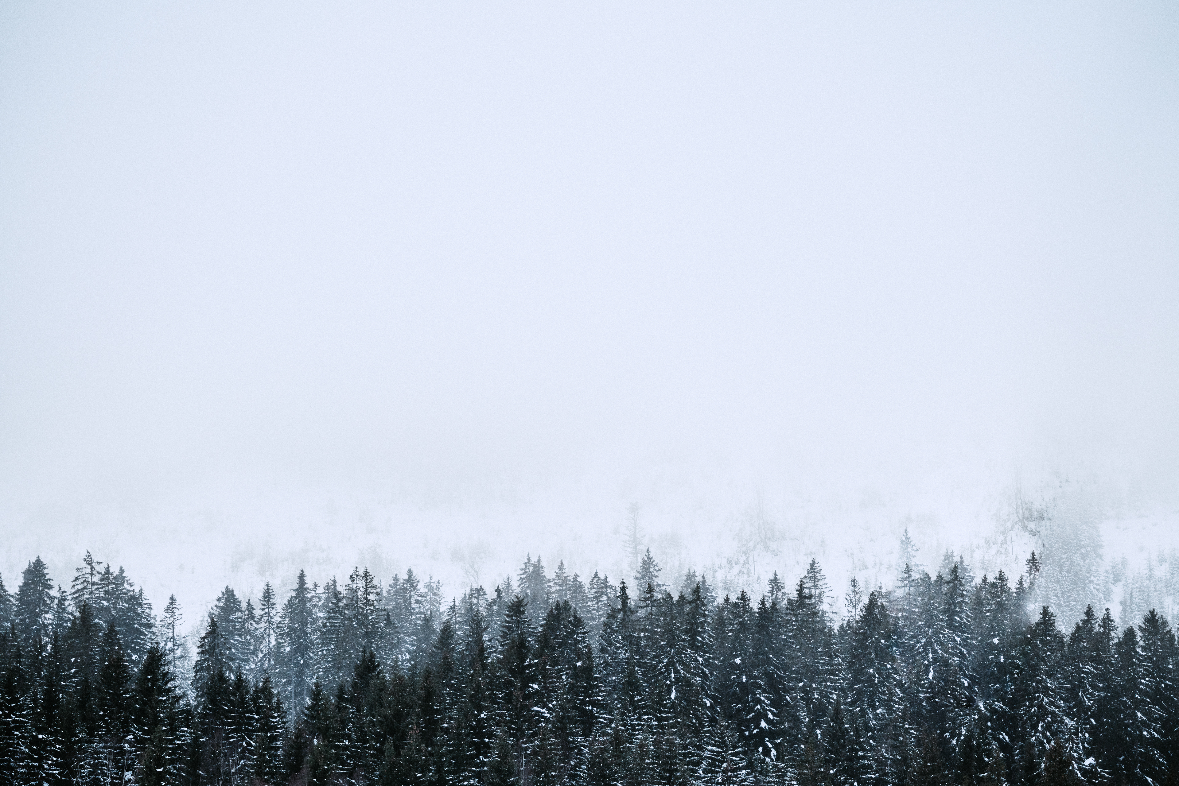 Kvilda winter