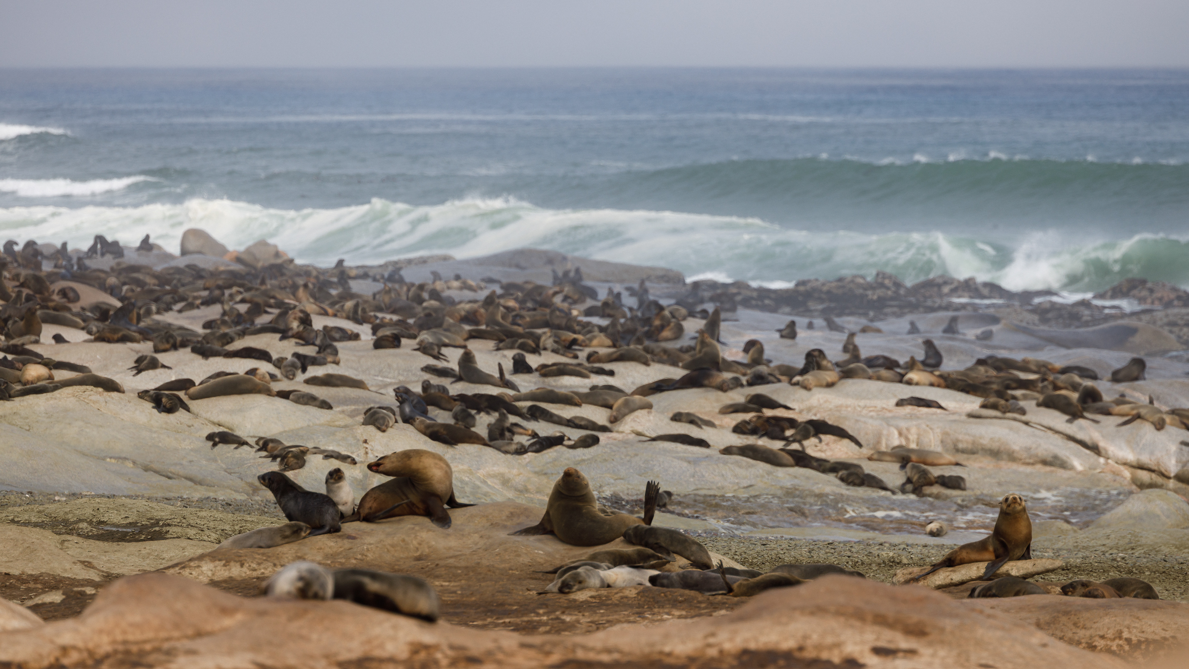 Namibia