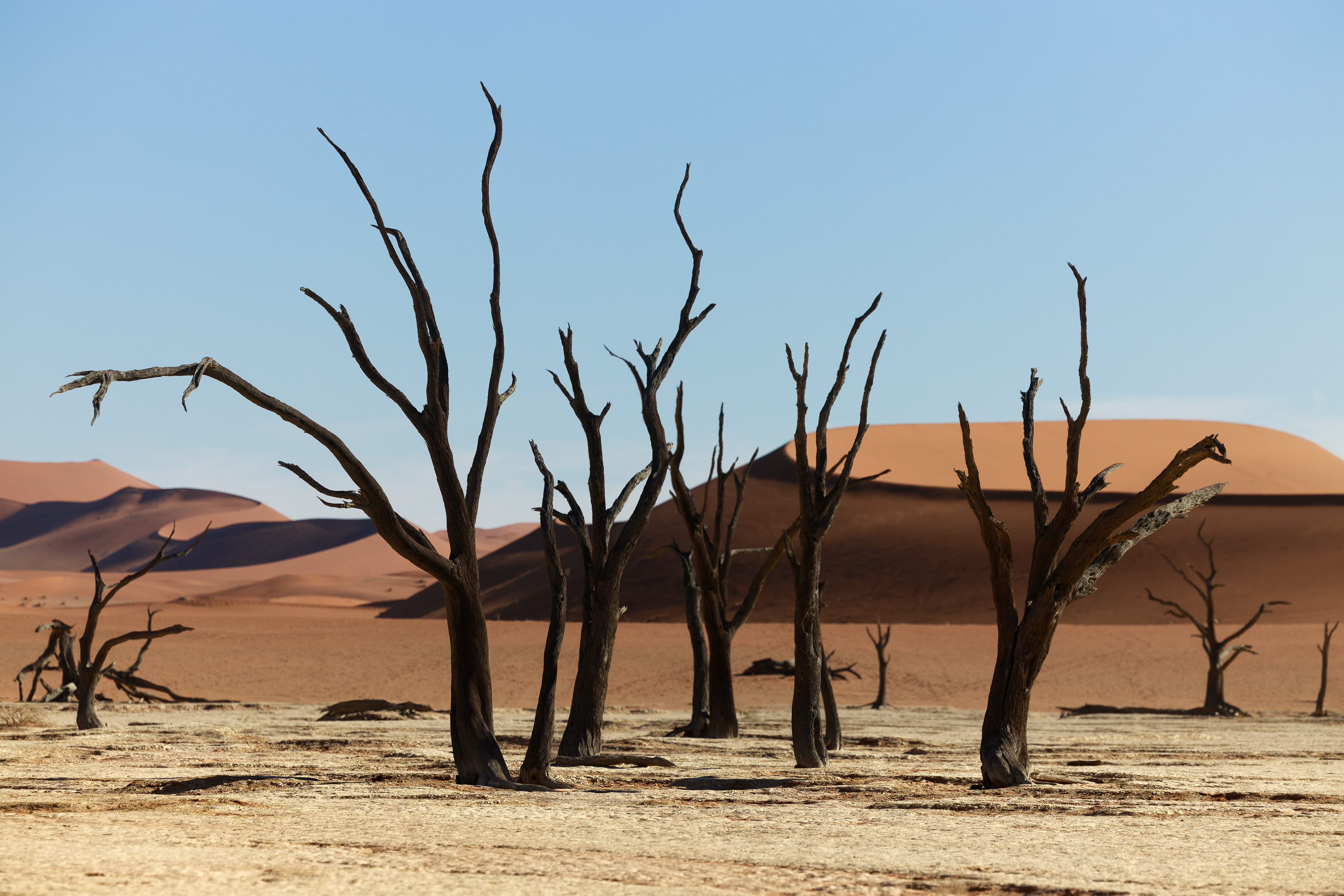 Deadvlei - Namibia 2023