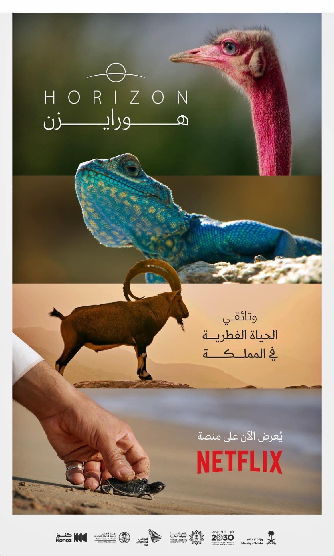 2023 - Tech Manager / Data Wrangler / DOP