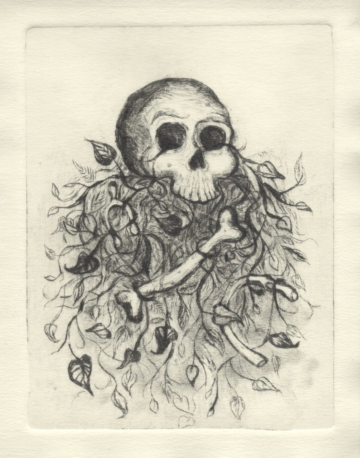 The Bones, 2026, Dry Point Etching, 4in x 5in