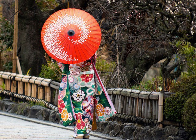 Geisha Parasol, Kyoto
