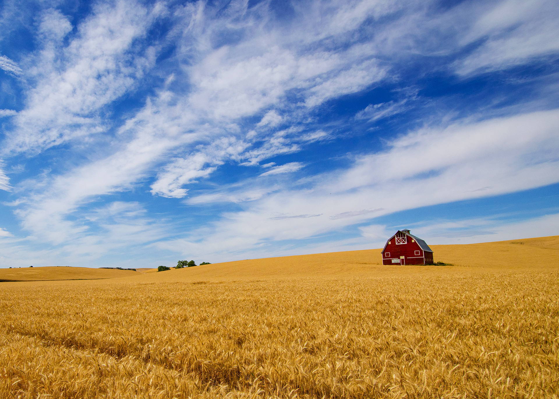 Palouse, WA