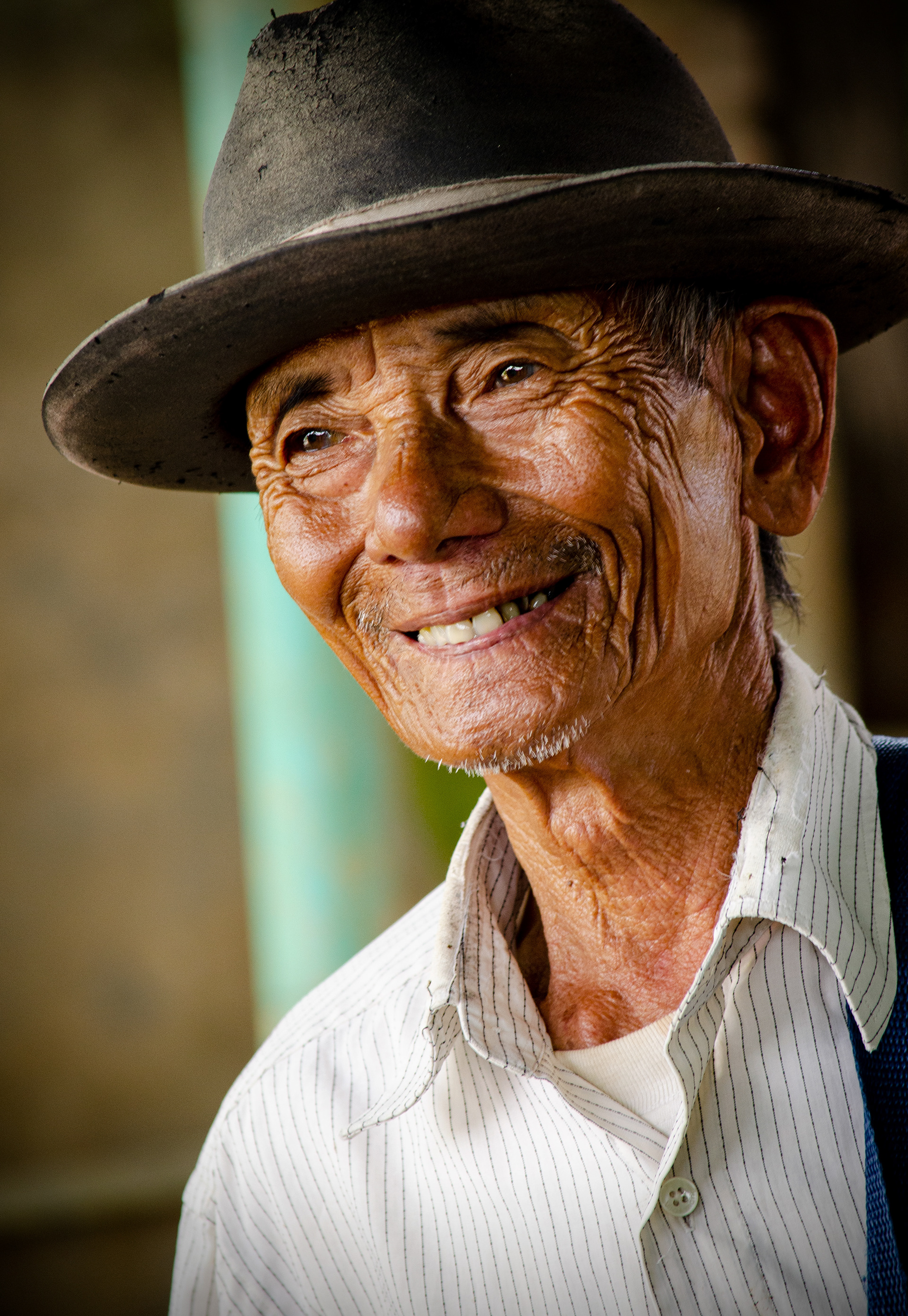 Vietnam Elder 1