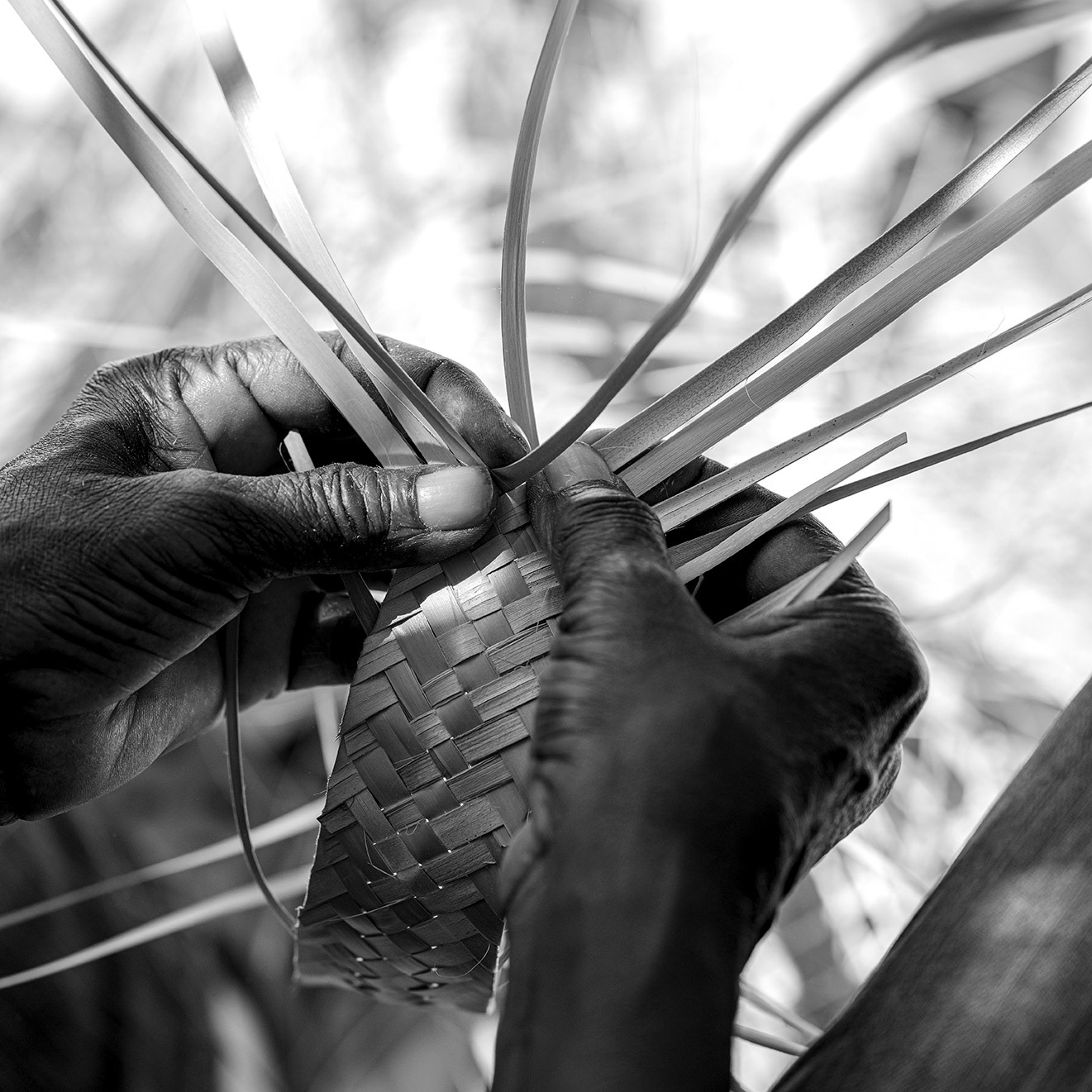 Basket Weaving 1 B&W