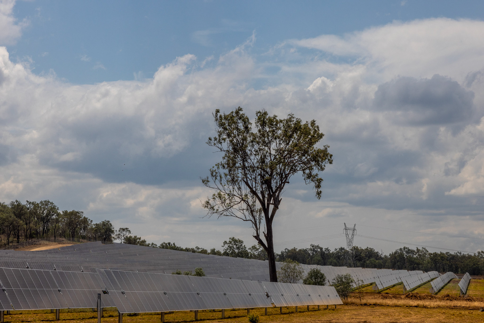 Aldoga Solar Farm Aldoga, Central Queensland. The expanse of solar panels at Aldoga Solar Farm reflects the region’s shift toward renewable energy. Operated by Acciona Energia, this large-scale solar farm harnesses the power of the sun to provide sustainable electricity for Central Queensland - reducing carbon emissions and paving the way for a cleaner future.