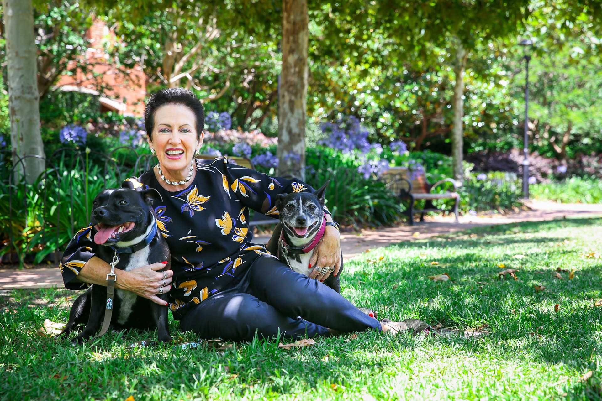 Moore Park Gardens, Sydney 30th November 2017. Lord Mayor Clover Moore with her dogs Buster and Bessie.