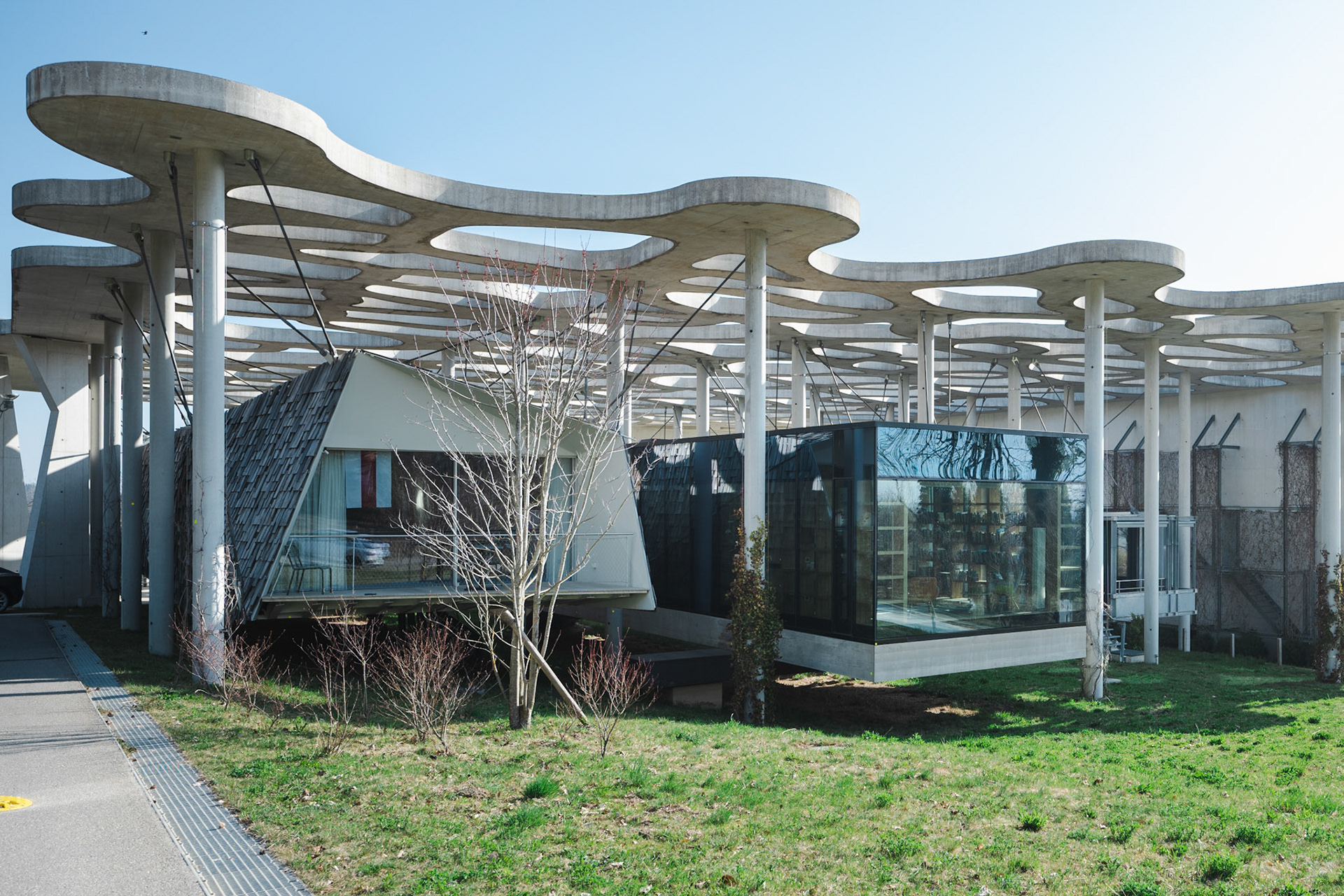 cabins designed by Kengo Kuma and Alejandro Aravena