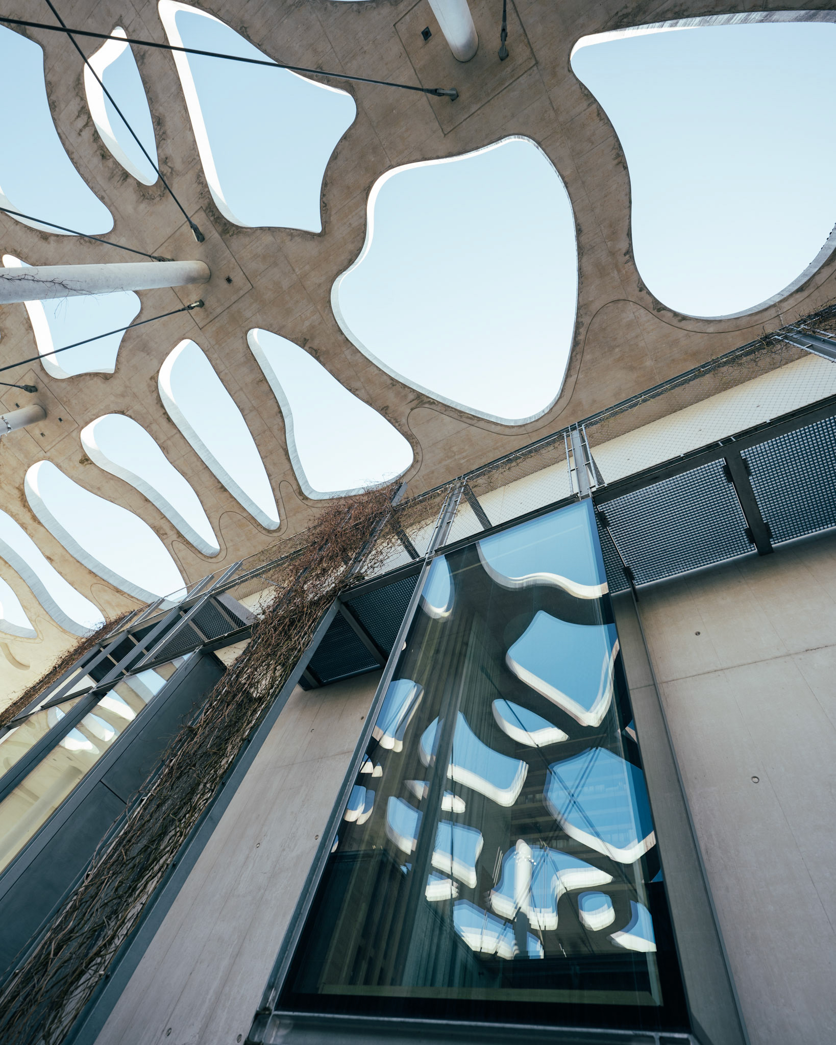 Jan Michalski library window and canopy reflections