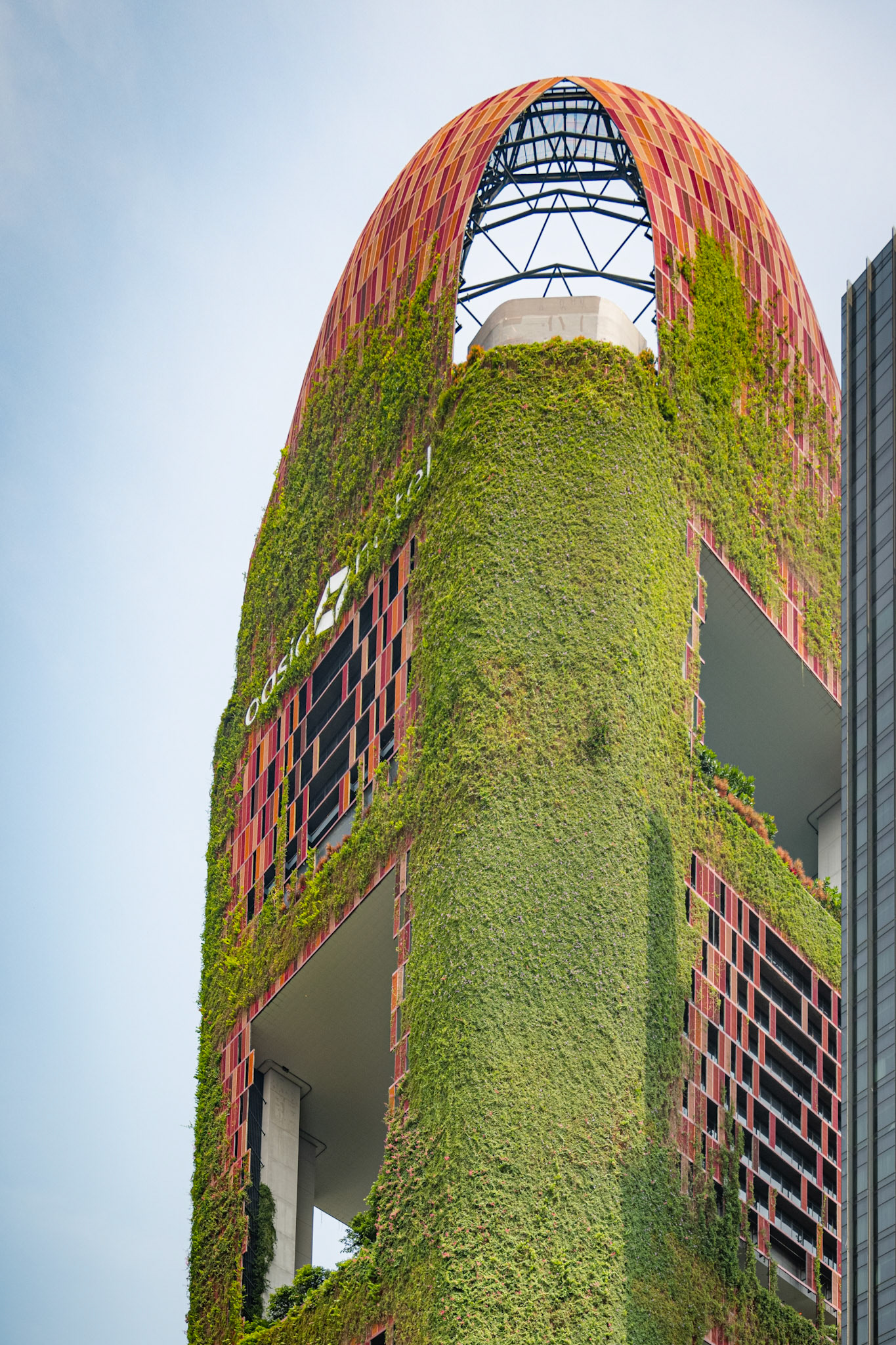 Oasia Hotel Downtown