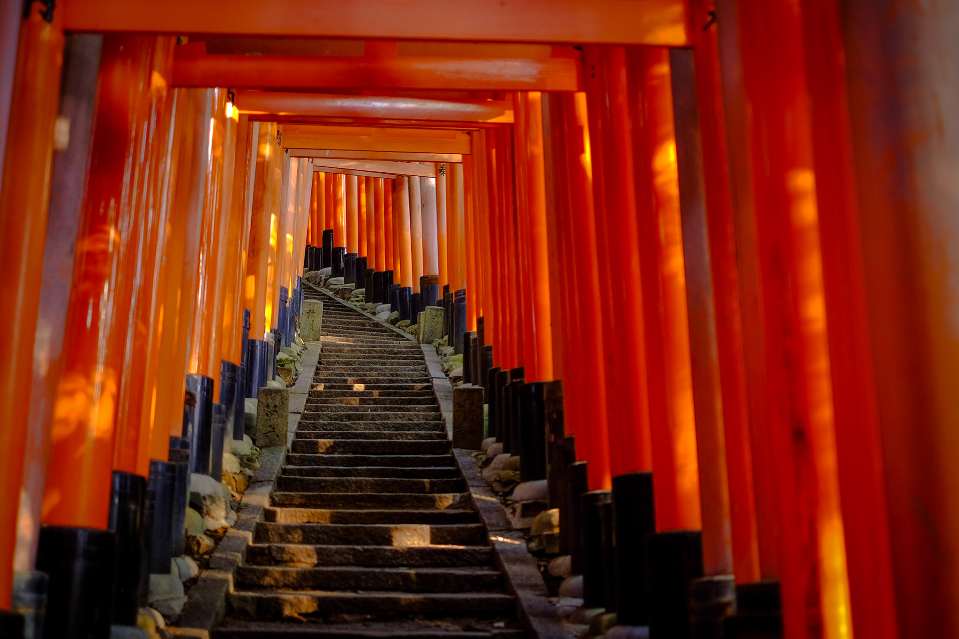 Fushimi Inari