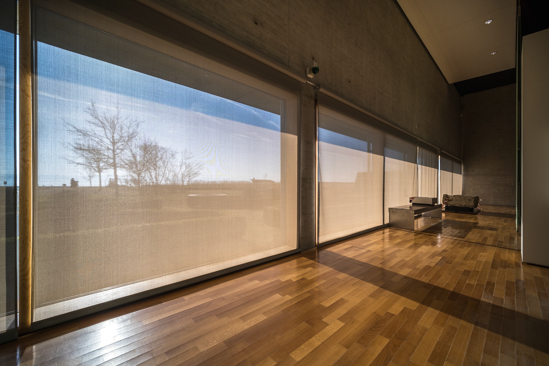 "It is by connecting with visitors, on a daily basis, in the exhibition rooms or in the museum café, that we fuel the passion that drives our projects. Consequently, the absence of visitors is very hard to bear morally. " - Marc-Antoine Kaeser, Director Laténium