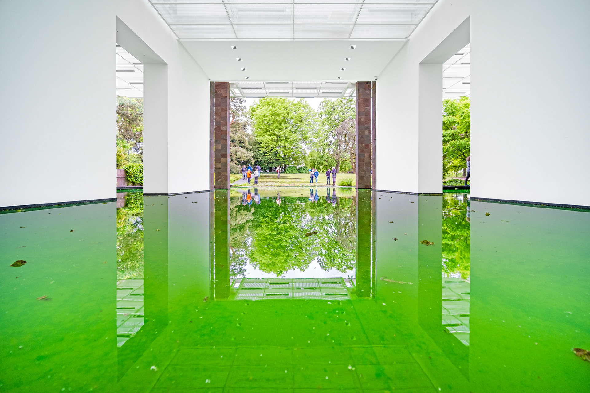 view from inside the museum into the park