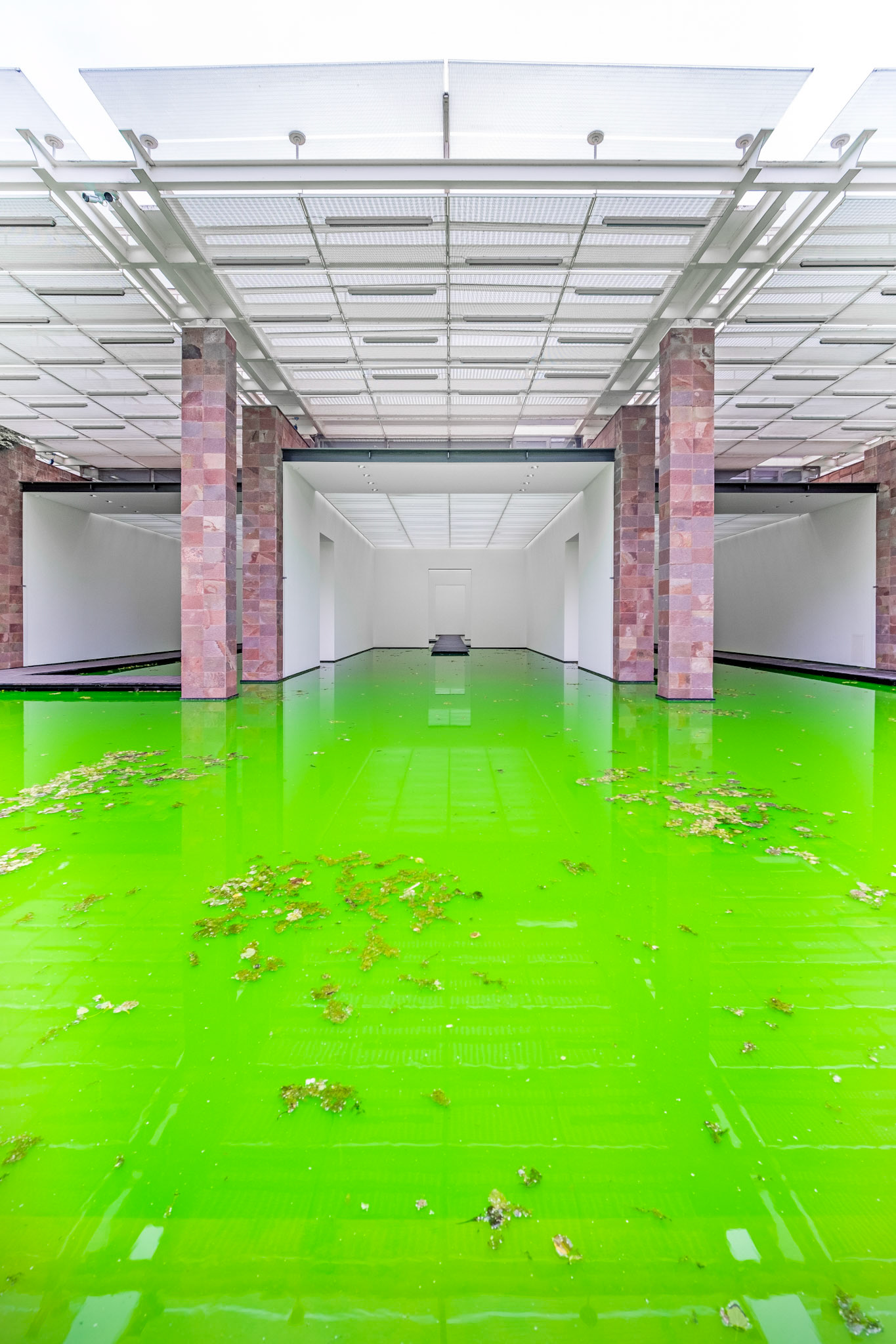 Life by Icelandic–Danish artist Olafur Eliasson