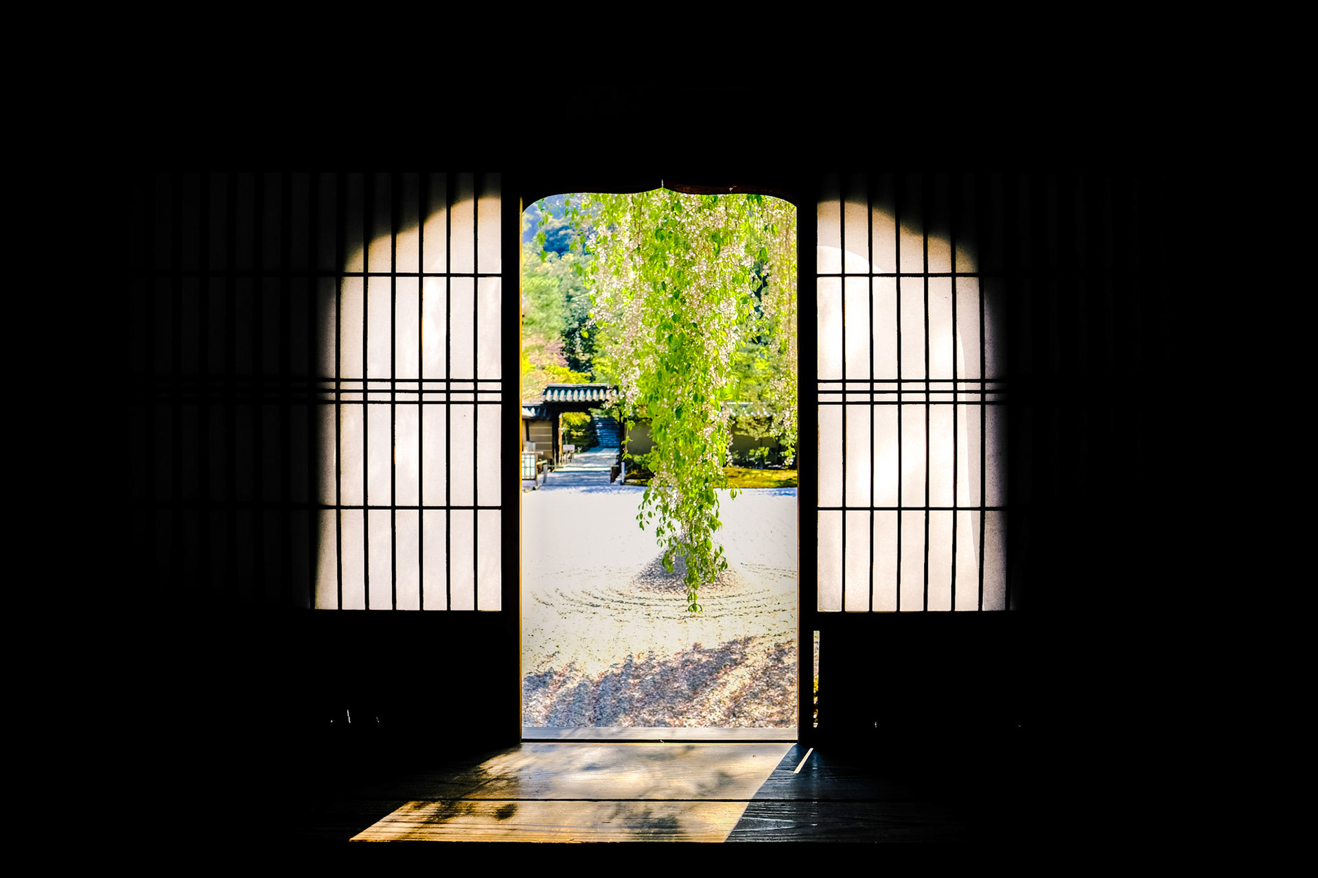 view into the rock garden