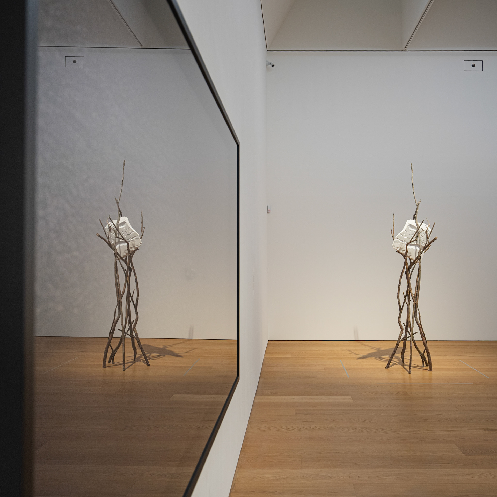 Foglie di pietra, Giuseppe Penone (2014)