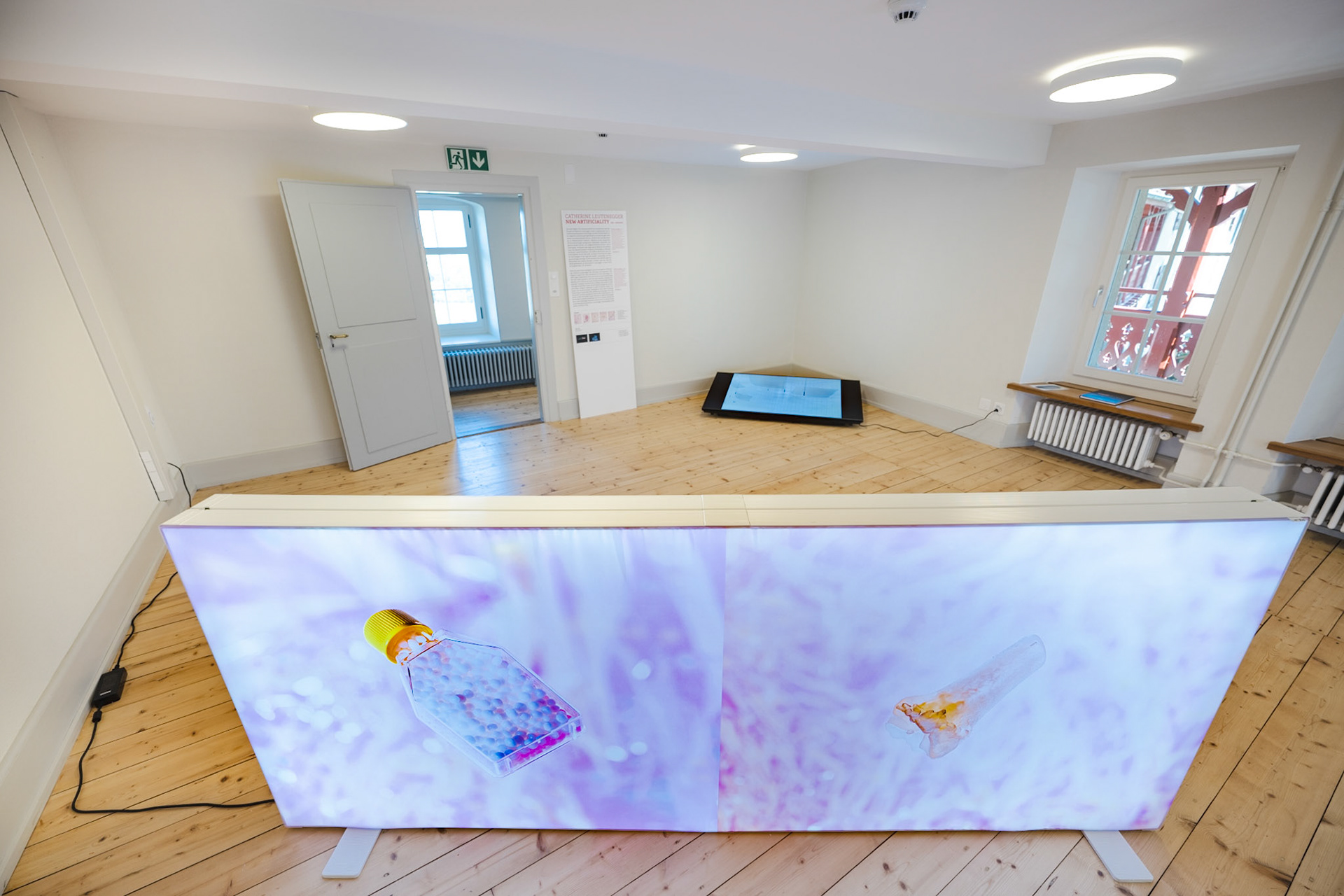 Schloss Lenzburg - Catherine Leutenegger: New Artificiality