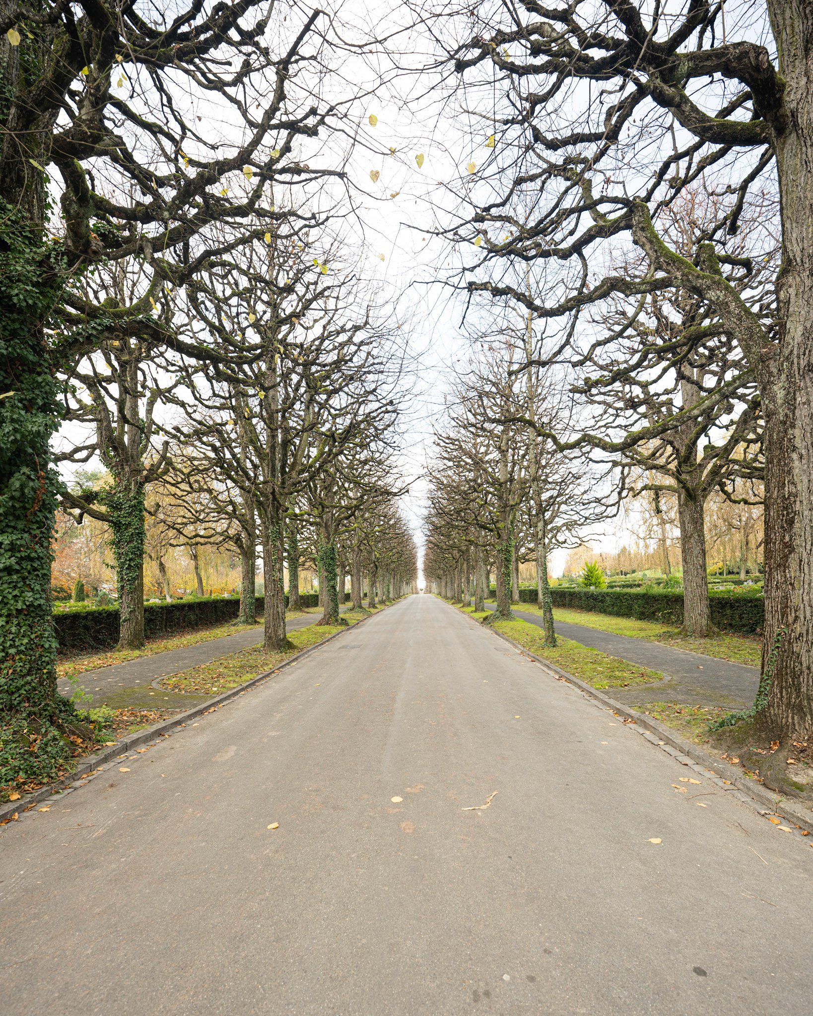 Cimetière du Bois-de-Vaux