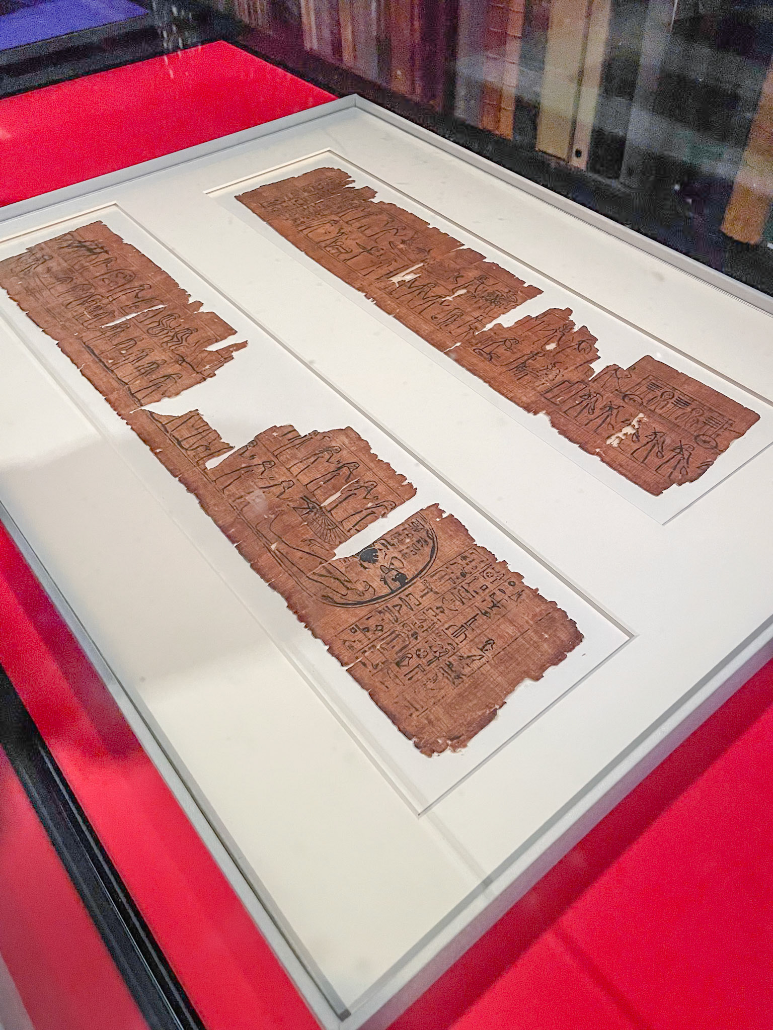 3,000-year-old Egyptian papyrus