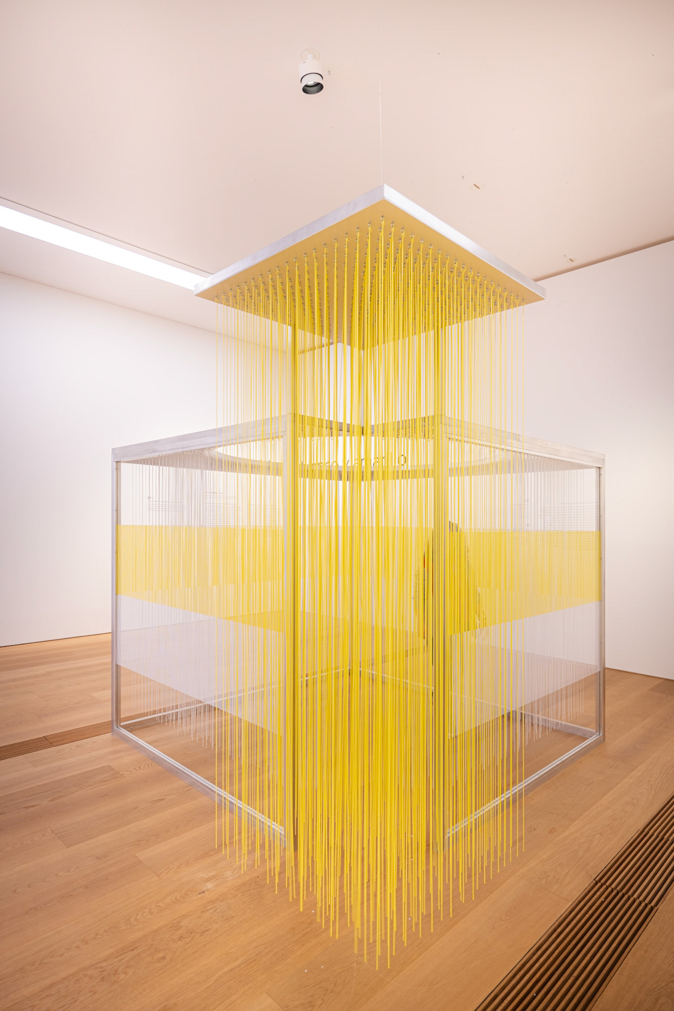 Vento di s. e. velocità 40 nodi, Laura Grisi, 1968