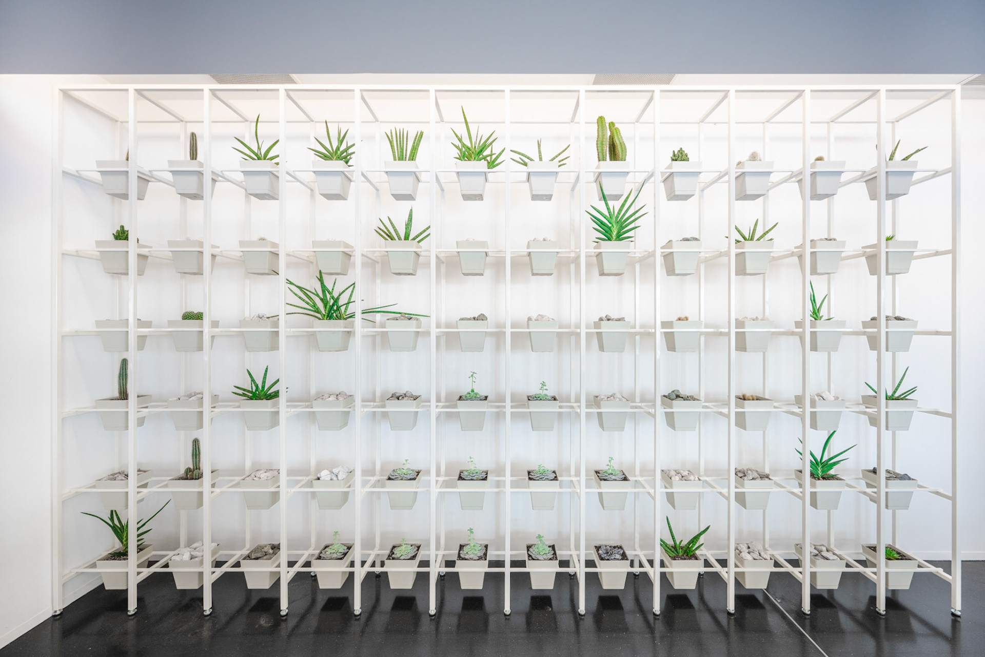 Sheraton Milan Malpensa - plants