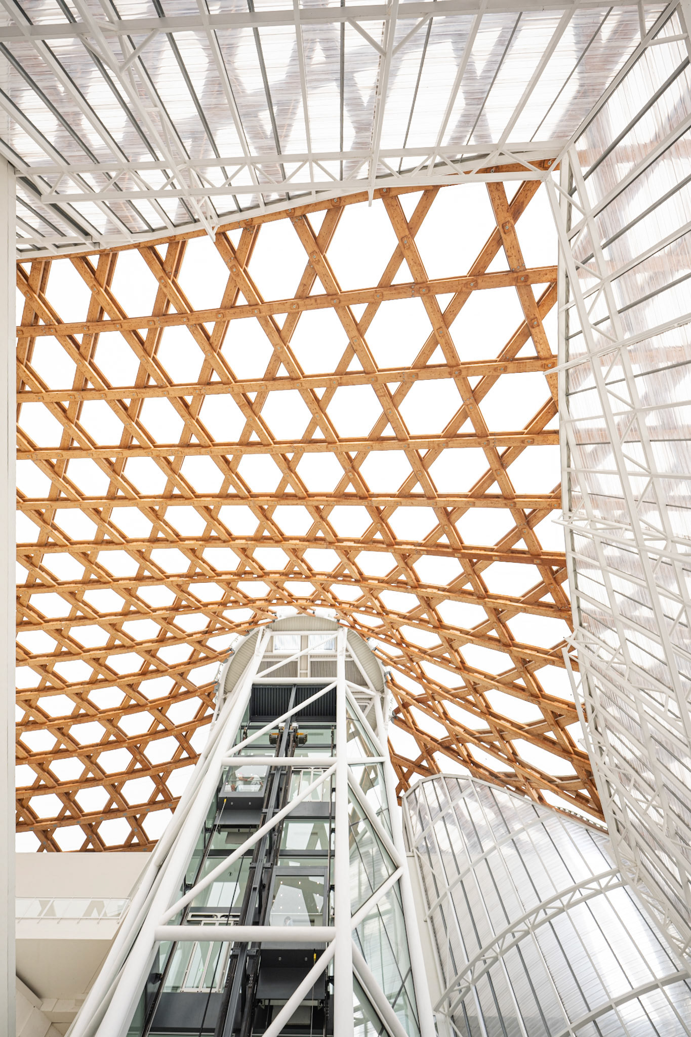 roof, made of laminated wood covered with a translucent membrane