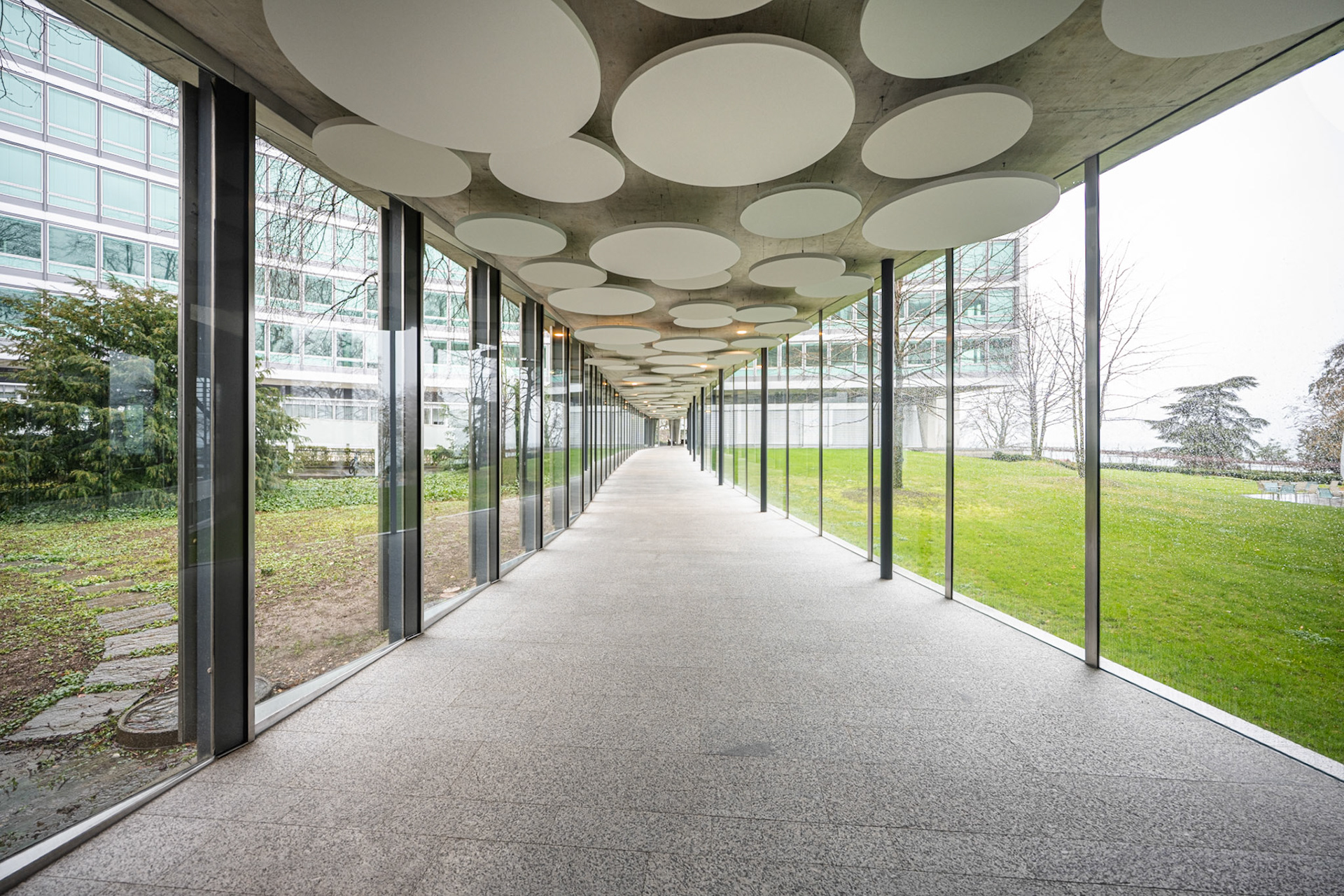 path connecting building A and the WellNes Centre