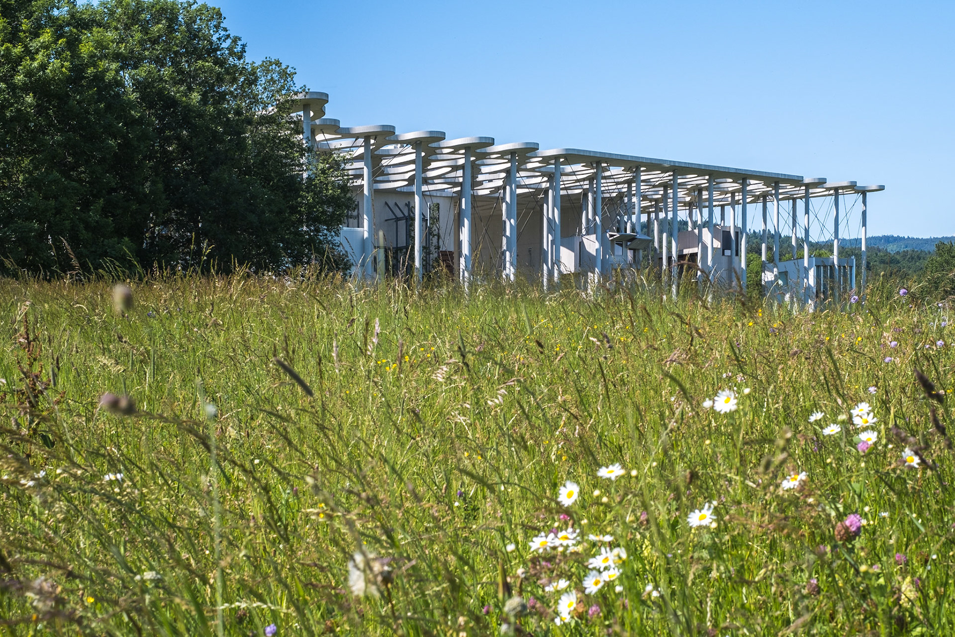 Fondation Jan Michalski - canopy