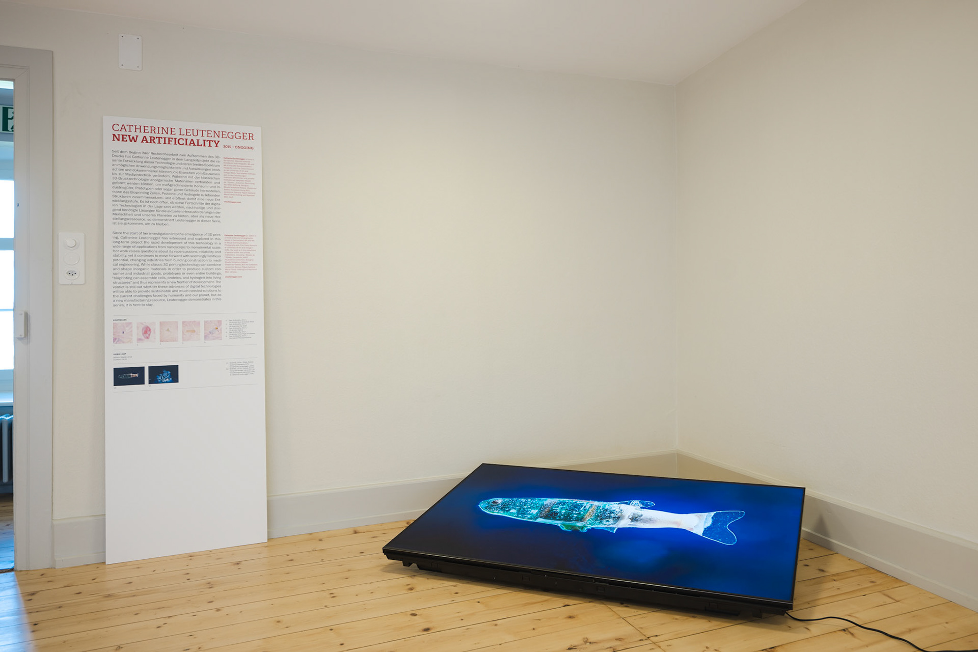 Schloss Lenzburg - Catherine Leutenegger: New Artificiality
